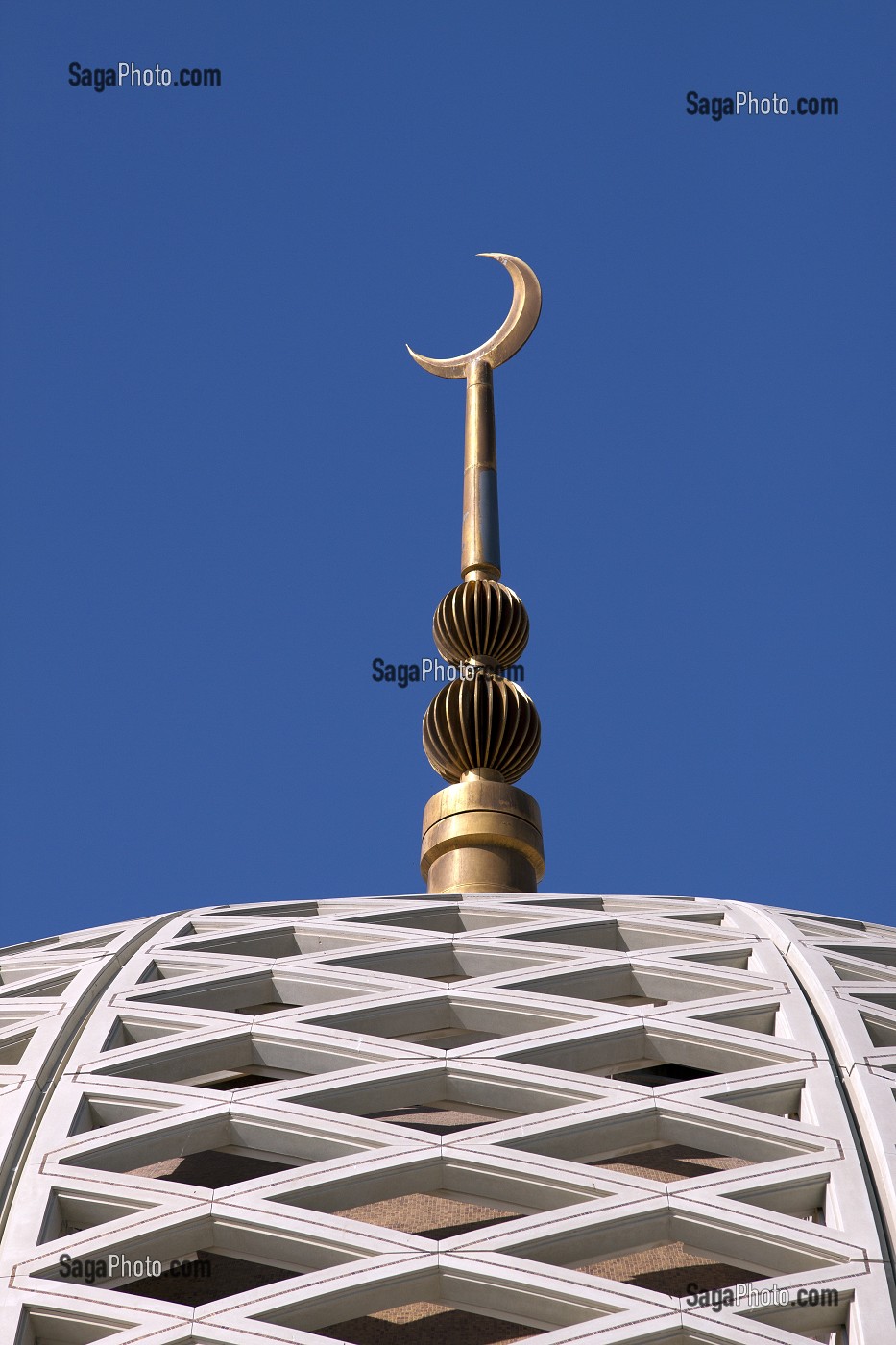 CROISSANT MUSULMAN ET DOME DE LA GRANDE MOSQUEE DU SULTAN QABOOS INAUGUREE EN 2001, MASCATE, SULTANAT D'OMAN, MOYEN-ORIENT 