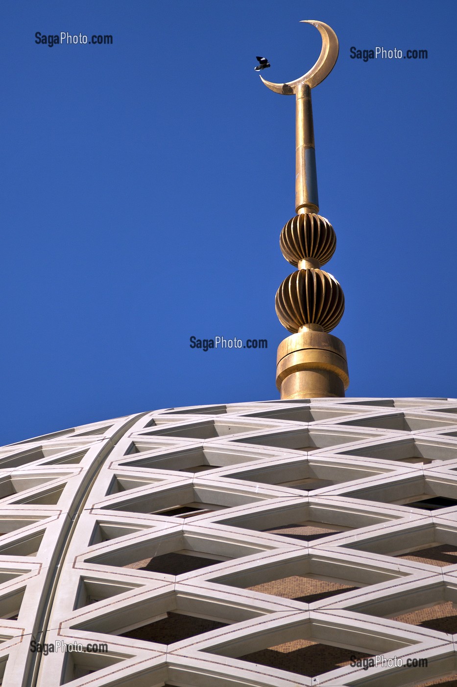 CROISSANT MUSULMAN ET DOME DE LA GRANDE MOSQUEE DU SULTAN QABOOS INAUGUREE EN 2001, MASCATE, SULTANAT D'OMAN, MOYEN-ORIENT 