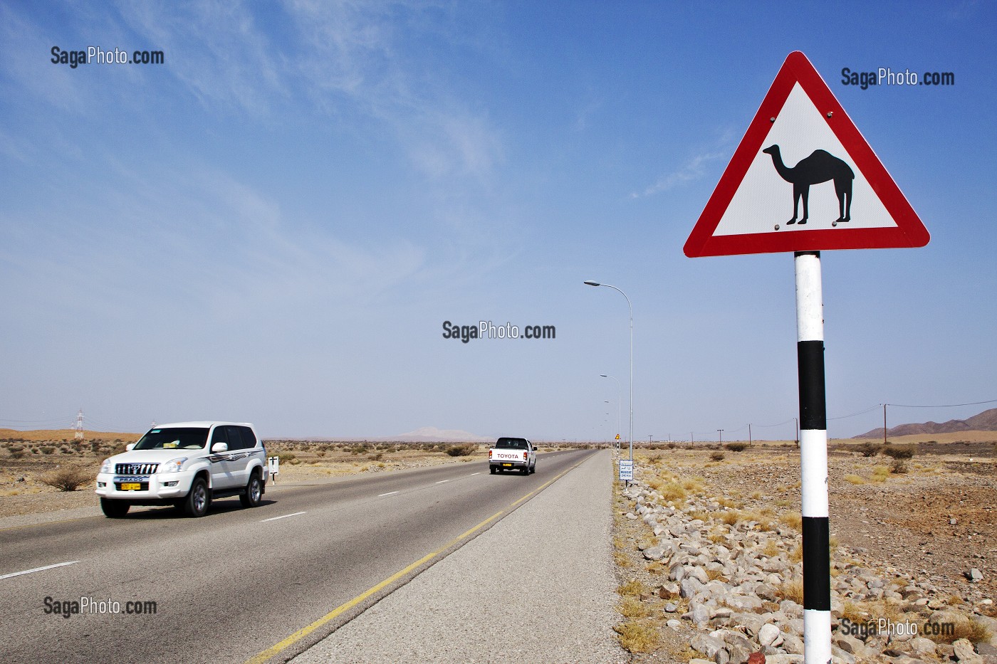 PANNEAU ROUTIER ALERTANT LES AUTOMOBILISTES SUR LA PRESENCE DE DROMADAIRES SUR UNE ROUTE MENANT AU DESERT DE WAHIBA SANDS, SULTANAT D'OMAN, MOYEN-ORIENT 