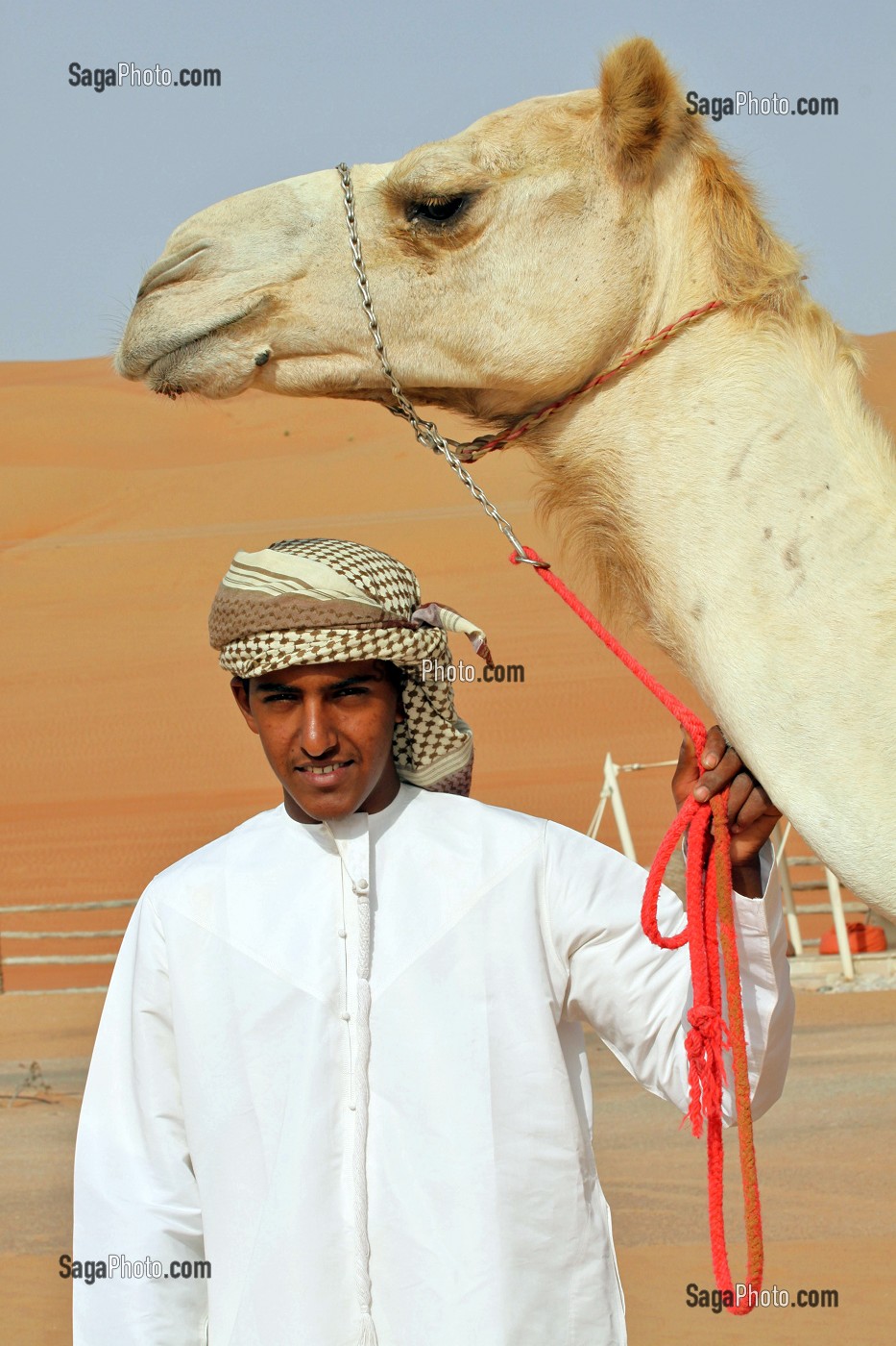 CHAMELIER POSANT AVEC SON DROMADAIRE DANS LE COMPLEXE TOURISTIQUE DESERT NIGHT CAMP, DESERT DE WAHIBA SANDS, SULTANAT D'OMAN, MOYEN-ORIENT 