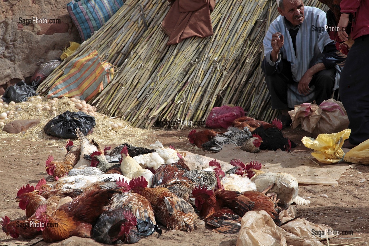 VENDEUR D'OEUFS ET DE VOLAILLES SUR LE MARCHE BERBERE DE TAHANAOUTE, AL HAOUZ, MAROC 