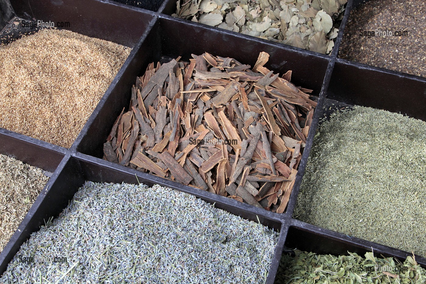 EPICES MAROCAINES (CANNELLE, LAVANDE, THYM, SESAME, LAURIER), TERRES D'AMANAR, TAHANAOUTE, AL HAOUZ, MAROC 