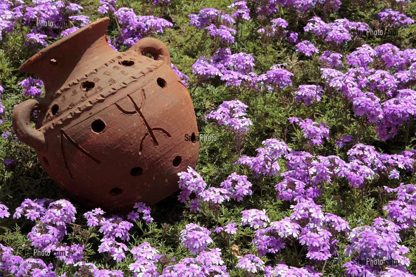 POTERIE AVEC LE SYMBOLE BERBERE, JARDIN D'UN ECO-LODGE, DOMAINE DE TERRES D'AMANAR, TAHANAOUTE, AL HAOUZ, MAROC 