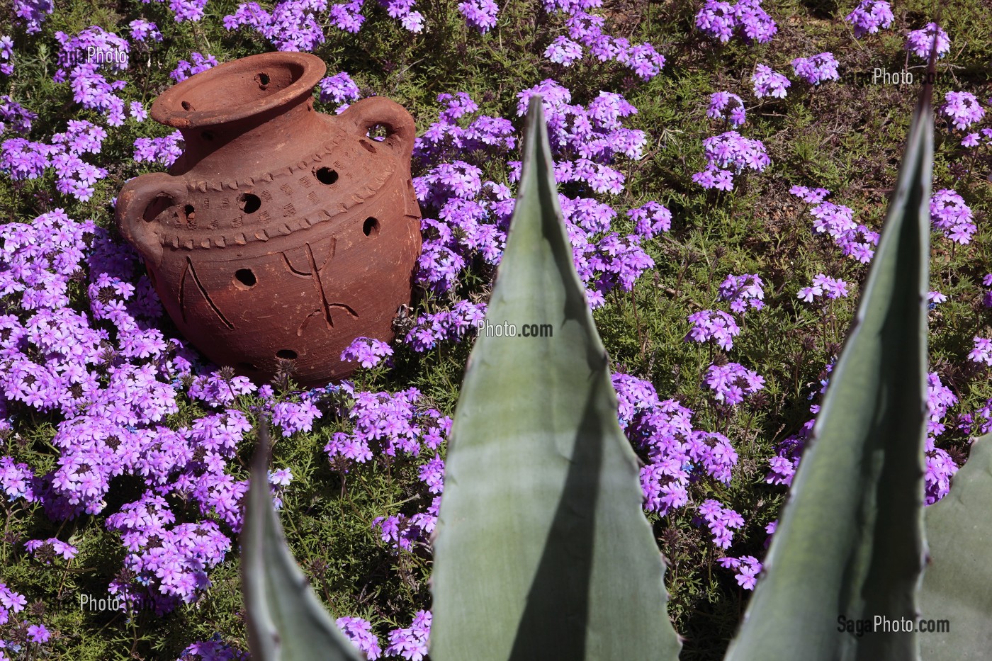 POTERIE AVEC LE SYMBOLE BERBERE, JARDIN D'UN ECO-LODGE, DOMAINE DE TERRES D'AMANAR, TAHANAOUTE, AL HAOUZ, MAROC 