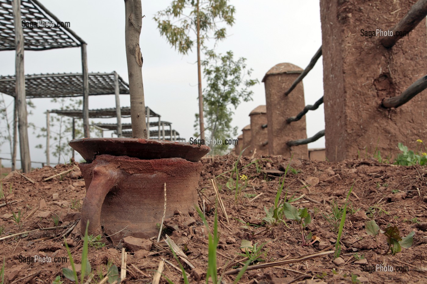 POTERIE PERMETTANT UN ARROSAGE ECONOMIQUE DES PLANTES PAR DIFFUSION, DOMAINE DE TERRES D’AMANAR, TAHANAOUTE, AL HAOUZ, MAROC 