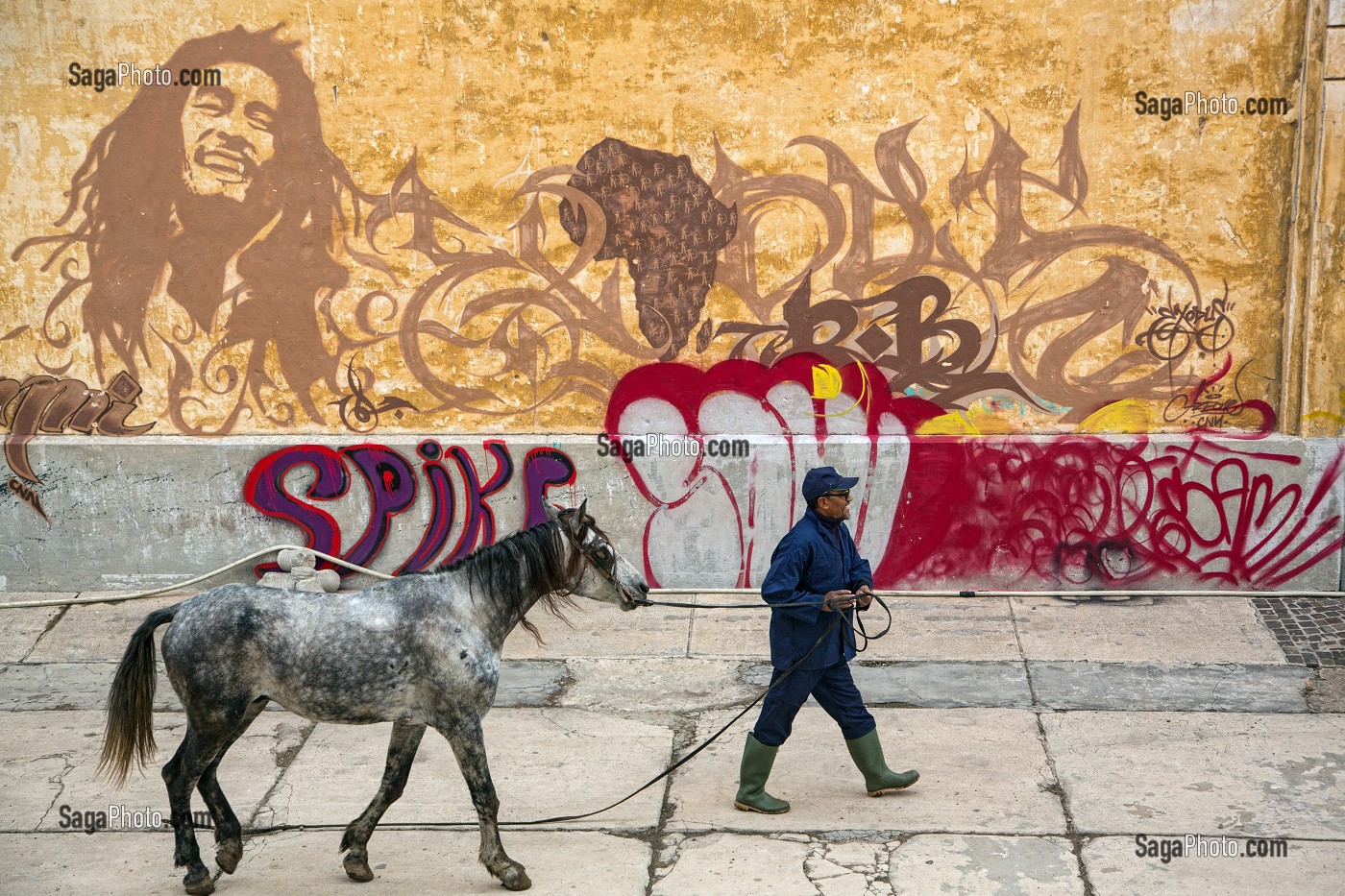 PROMENADE D'UN CHEVAL DEVANT LES ANCIENS ABATTOIRS EN BETON ARME ET RECOUVERTS DE GRAFFITI, ARCHITECTURE EN BETON ARME, HERITAGE DU MARECHAL LYAUTEY, CASABLANCA, MAROC, AFRIQUE 