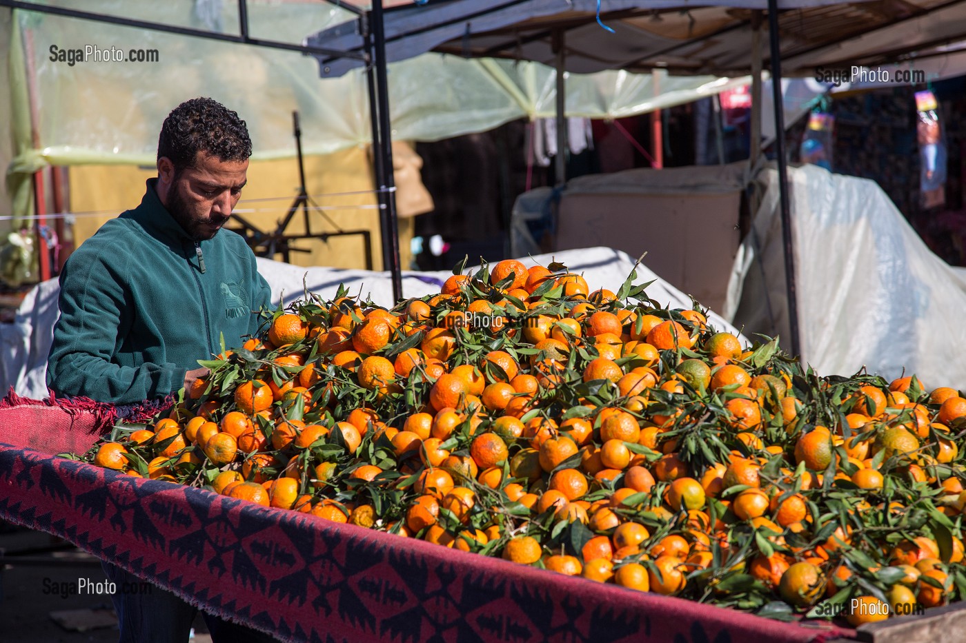 VENDEUR DE CLEMENTINES SUR LE MARCHE LA KISSARIA, HAY MOHAMMADI, COMMUNE LA PLUS PAUVRE DE CASABLANCA, MAROC, AFRIQUE 