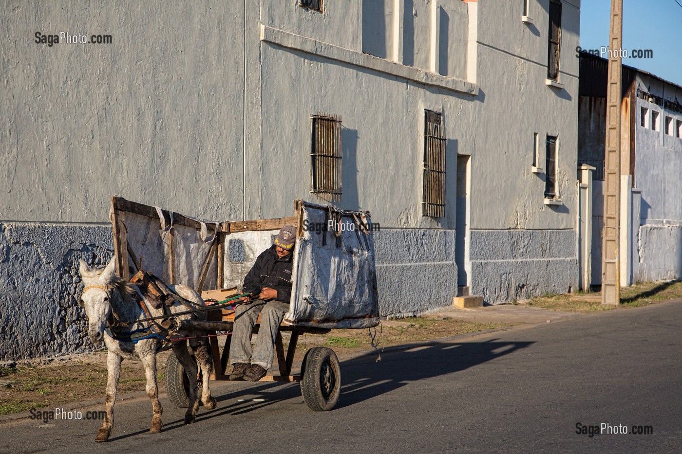 HOMME ENDORMI DANS SA CHARETTE TIREE PAR SON ANE, QUARTIER DES ANCIENS ABATTOIRS DE LA VILLE, CASABLANCA, MAROC, AFRIQUE 