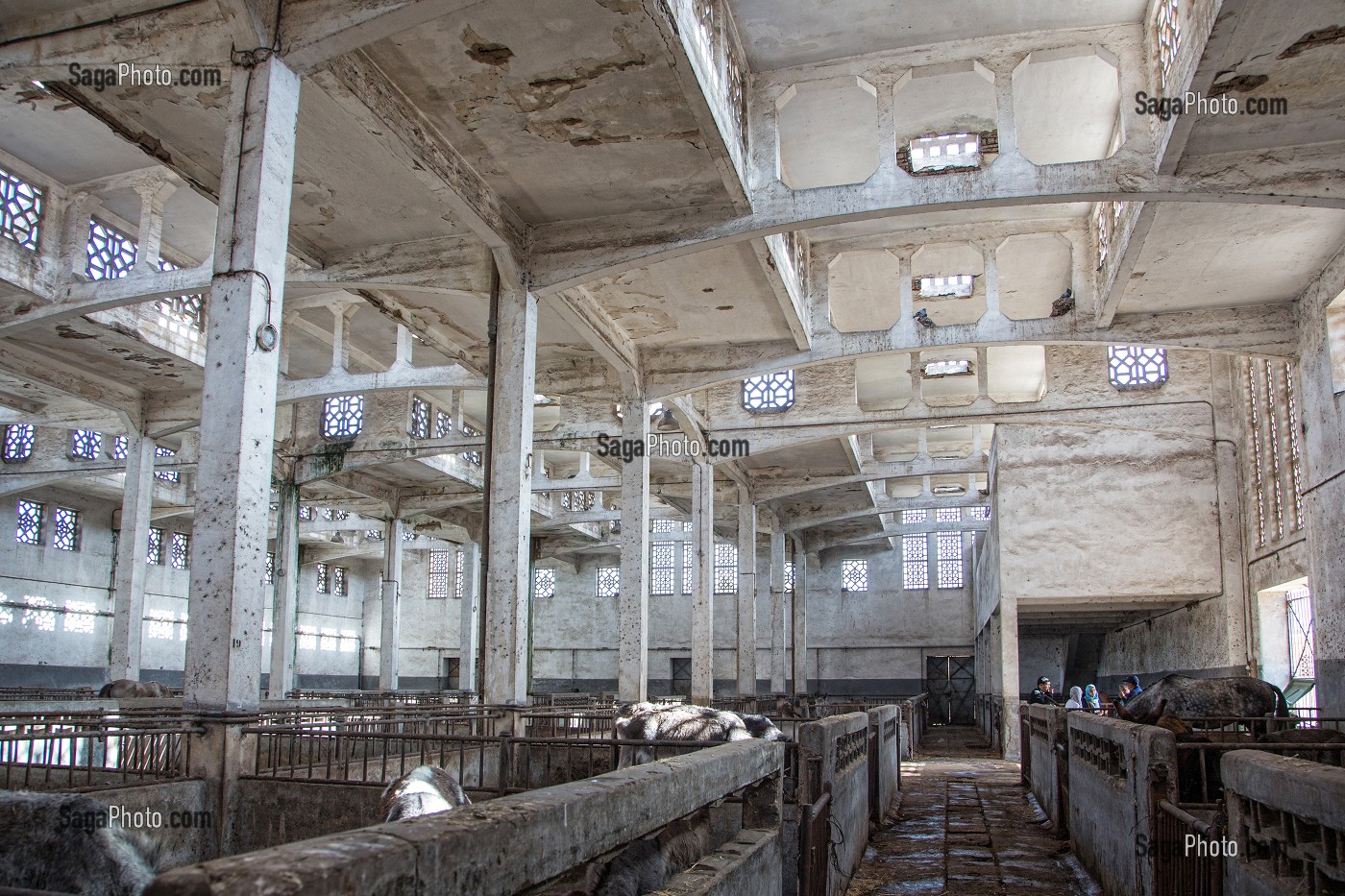 ARCHITECTURE INTERIEURE DES ANCIENS ABATTOIRS, ARCHITECTURE EN BETON ARME, HERITAGE DU MARECHAL LYAUTEY, CASABLANCA, MAROC, AFRIQUE 