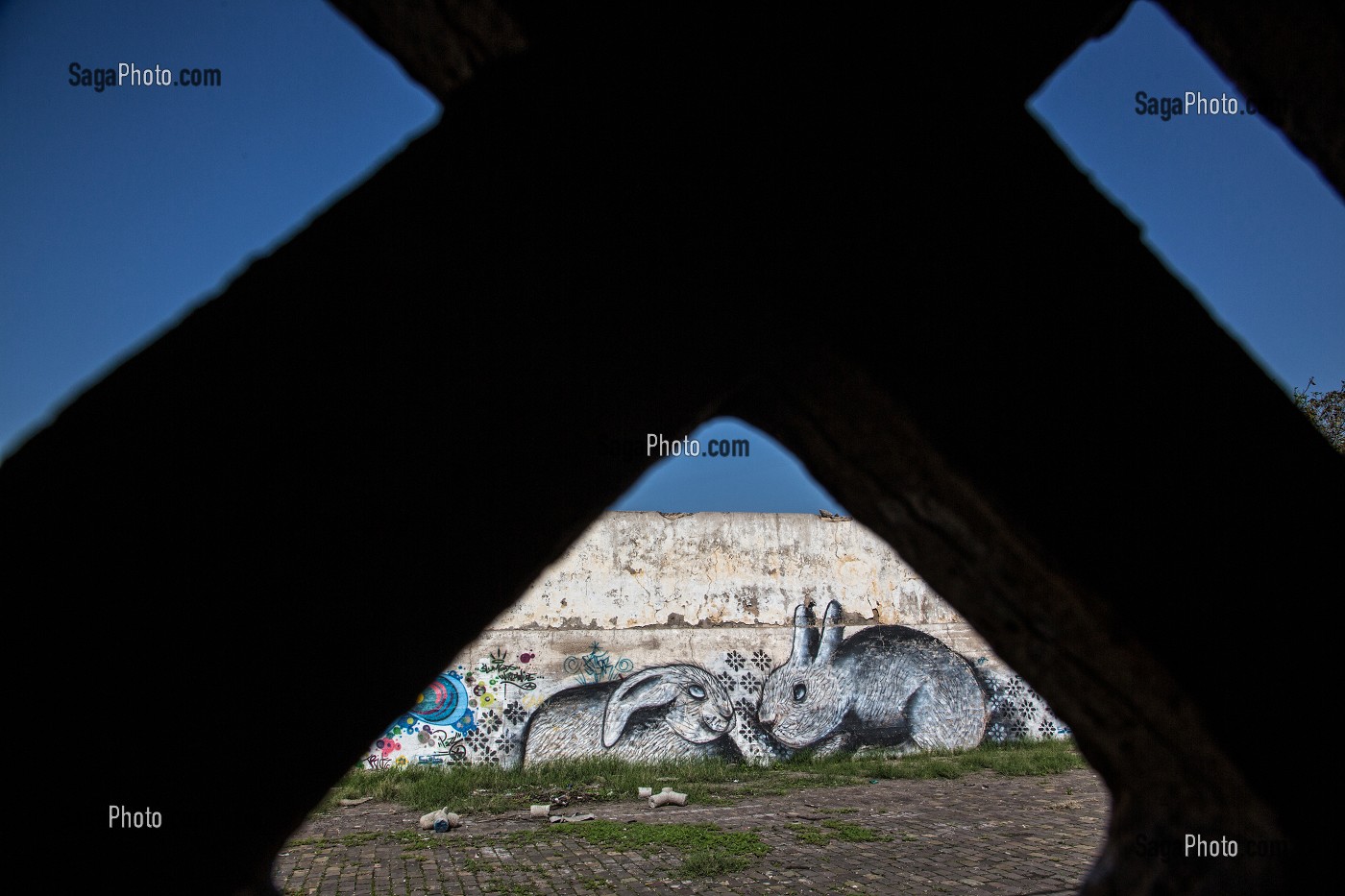 GRAFFITI REPRESENTANT DES LAPINS SUR UN MUR DES ANCIENS ABATTOIRS DE CASABLANCA, MAROC, AFRIQUE 
