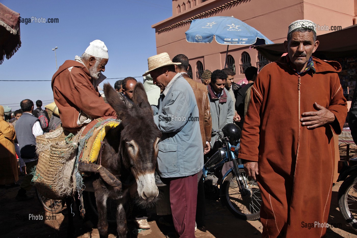 HOMME ET SON ANE, MARCHE BERBERE DE TAHANAOUTE, MAROC 
