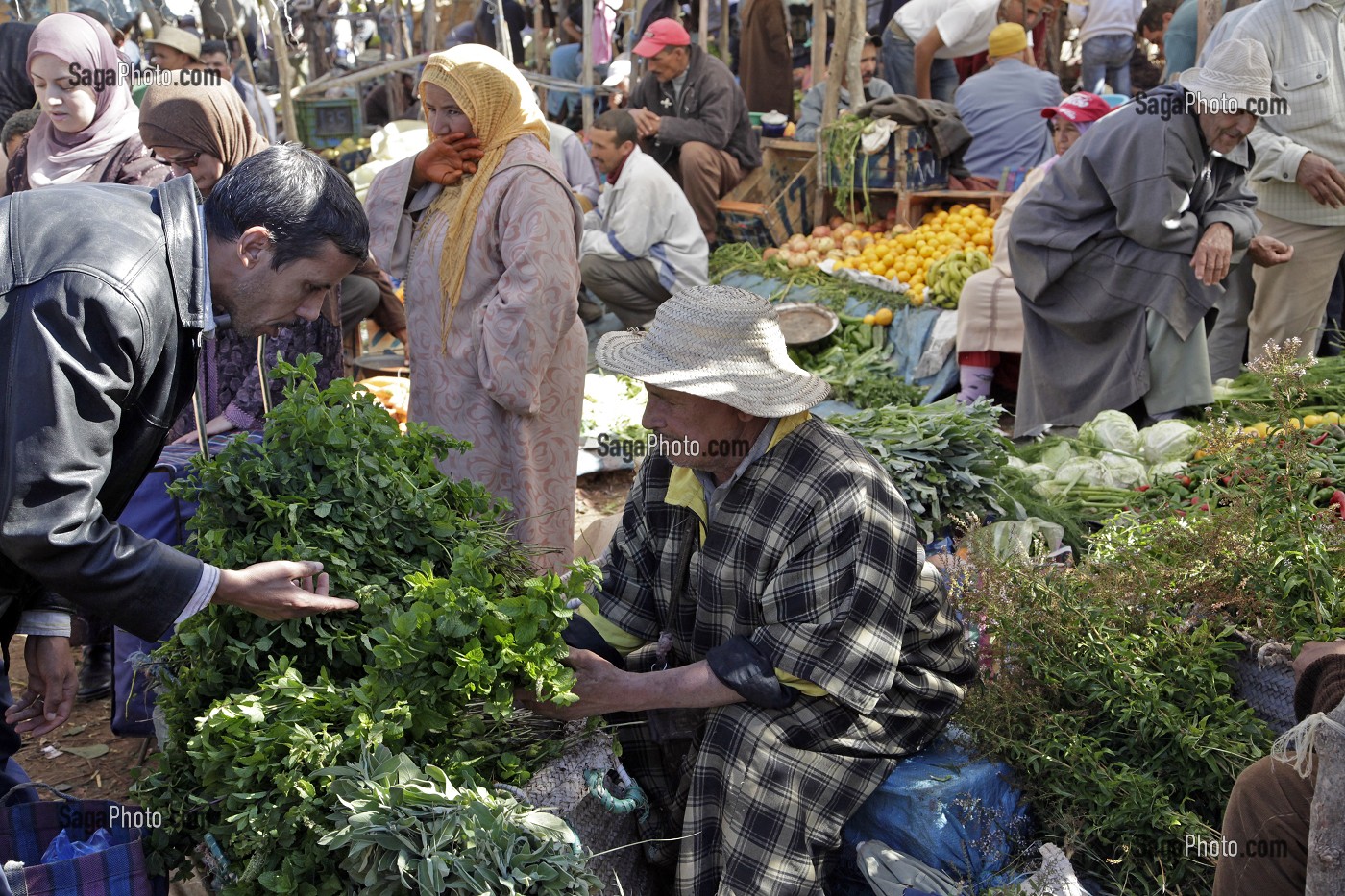 ETALAGE D'HERBES AROMATIQUES FRAICHES, MARCHE BERBERE DE TAHANAOUTE, AL HAOUZ, MAROC 