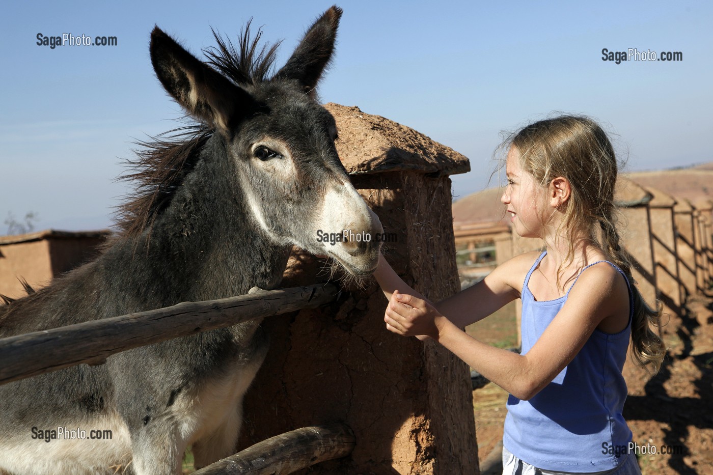 PETITE FILLE CARESSANT UN ANE, DOMAINE TOURISTIQUE DE TERRES D'AMANAR, TAHANAOUTE, AL HAOUZ, MAROC 