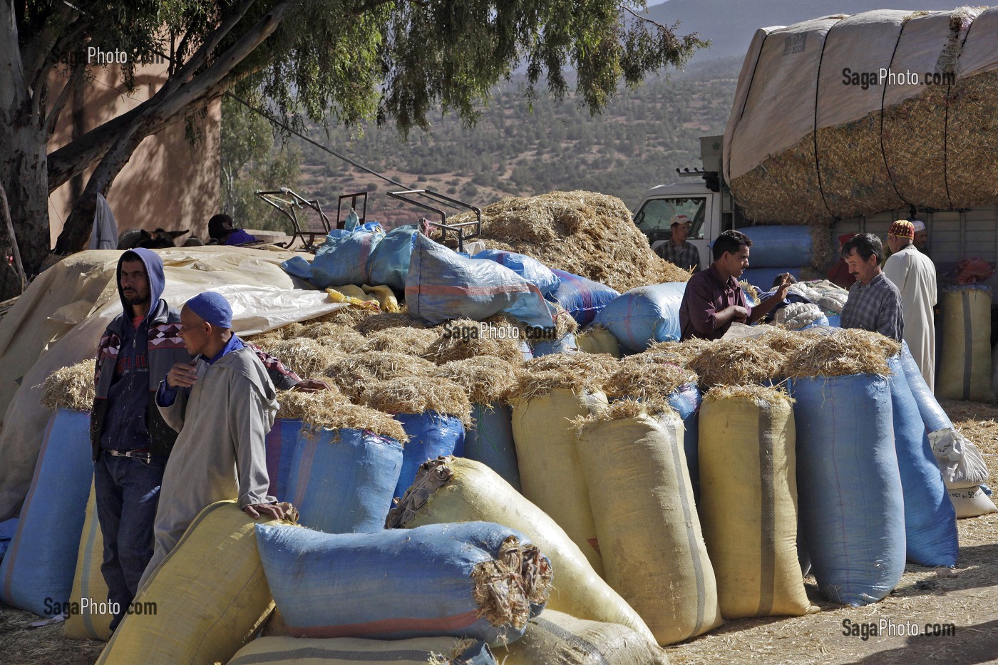 VENTE DE PAILLE SUR LE SOUK, MARCHE POPULAIRE BERBERE D’ASNI, VALLEE AU PIED DU HAUT-ATLAS, MAROC 