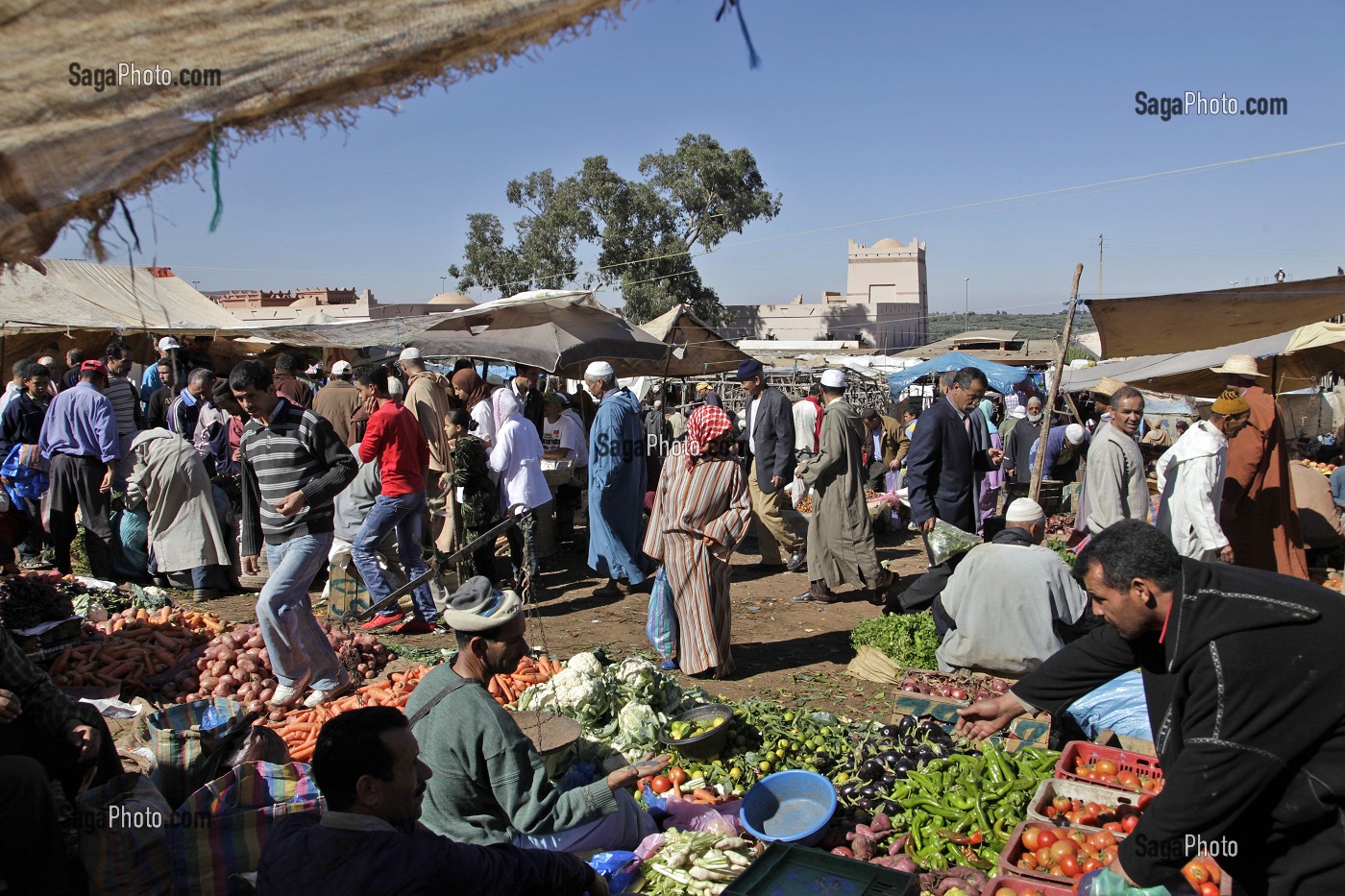 ETALAGE DE FRUITS ET DE LEGUMES, MARCHE BERBERE DE TAHANAOUTE, AL HAOUZ, MAROC 