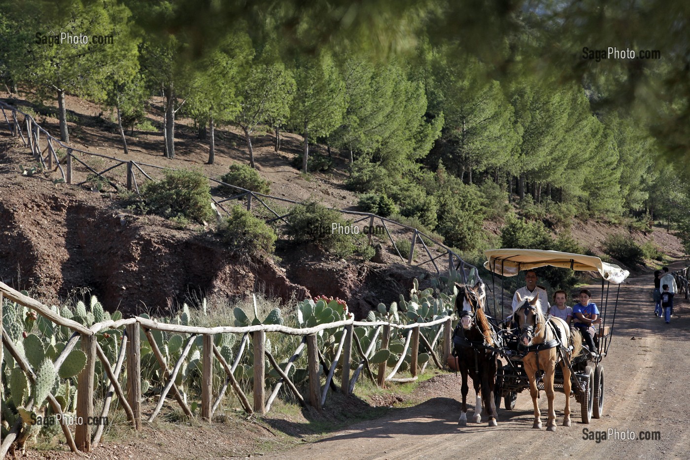 PROMENADE EN CALECHE, DOMAINE DE TERRES D’AMANAR, TAHANAOUTE, AL HAOUZ, MAROC 