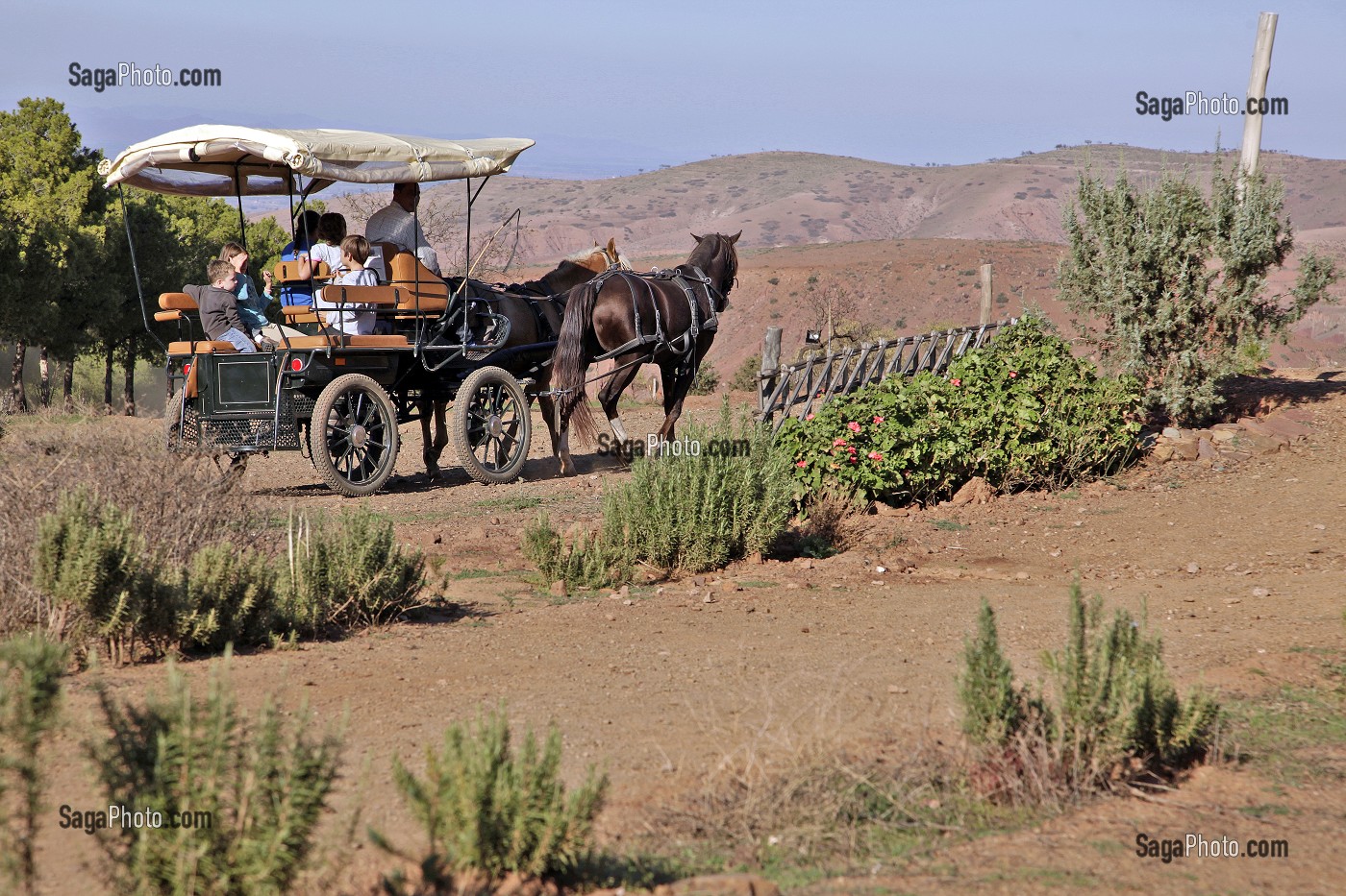 PROMENADE EN CALECHE, DOMAINE DE TERRES D’AMANAR, TAHANAOUTE, AL HAOUZ, MAROC 