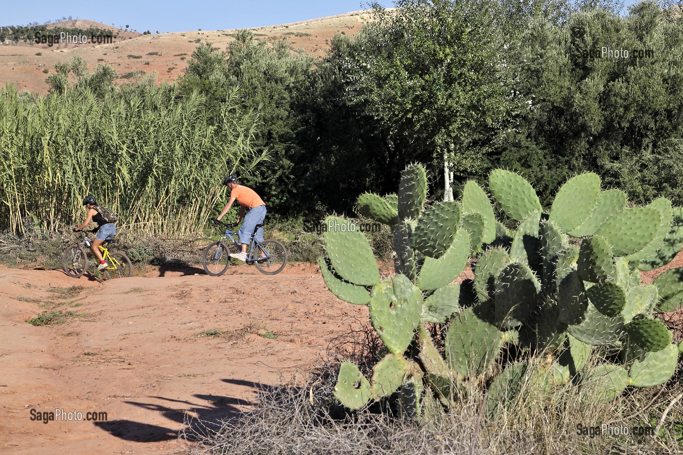 RANDONNEE A VTT DANS LE VILLAGE BERBERE DE TAHANAOUTE, ACTIVITE SPORTIVE DU DOMAINE DE TERRES D'AMANAR, AL HAOUZ, MAROC 