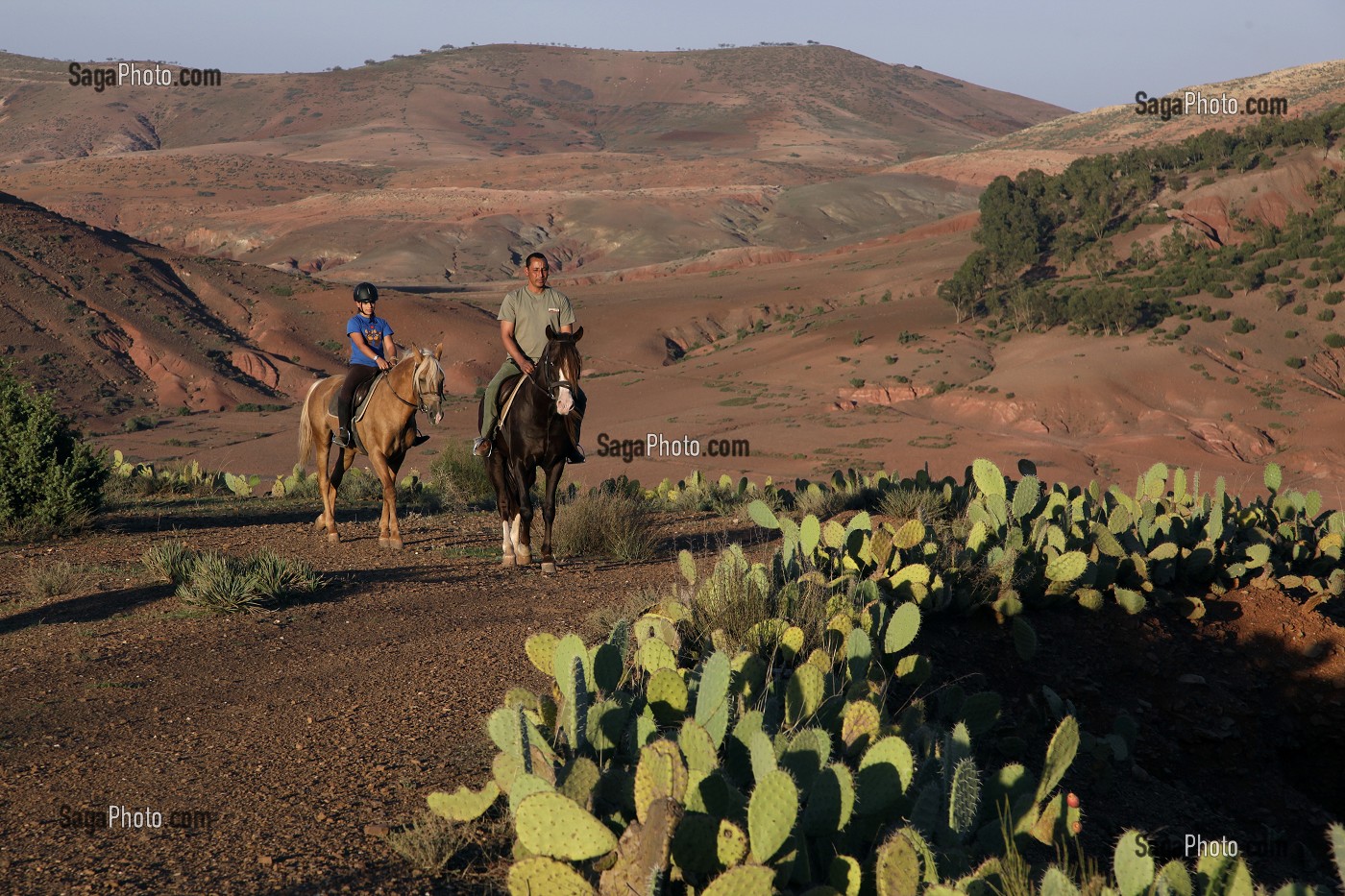 RANDONNEE A CHEVAL DANS LA NATURE, ACTIVITE SPORTIVE DU DOMAINE DE TERRES D'AMANAR, TAHANAOUTE, AL HAOUZ, MAROC 