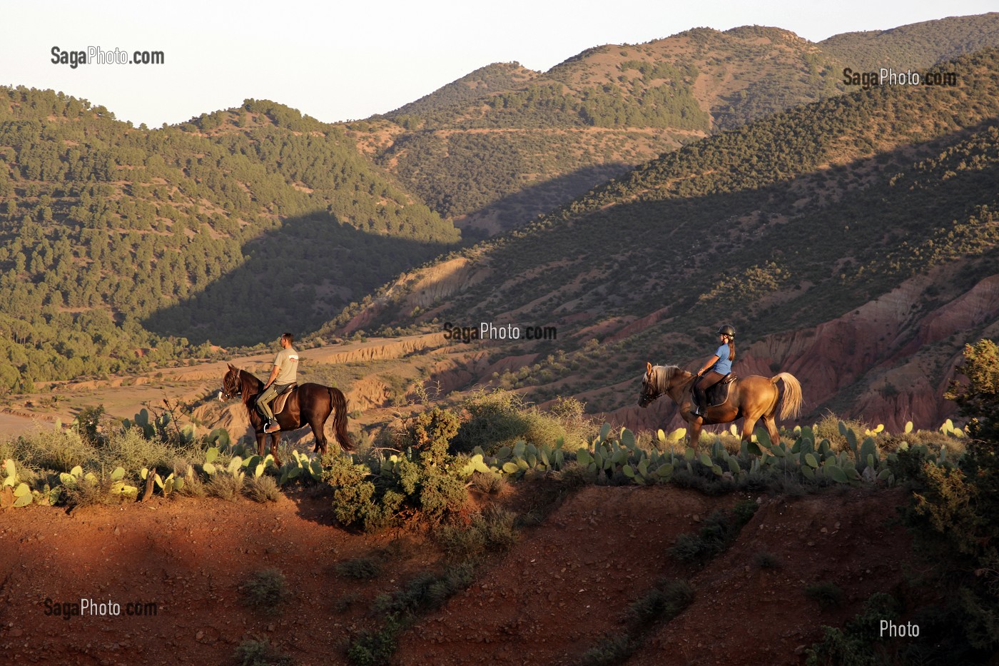 RANDONNEE A CHEVAL DANS LA NATURE, ACTIVITE SPORTIVE DU DOMAINE DE TERRES D'AMANAR, TAHANAOUTE, AL HAOUZ, MAROC 
