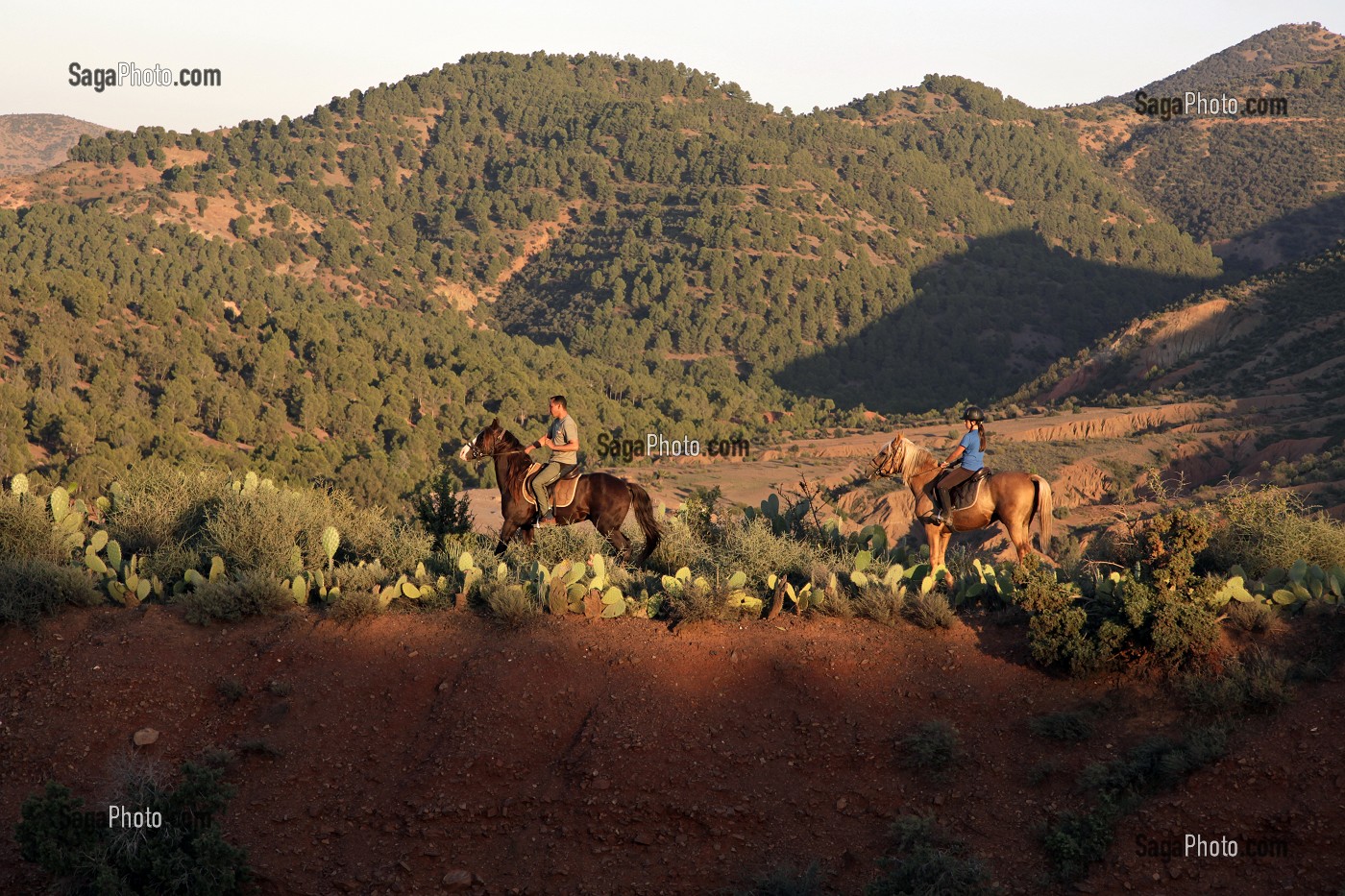 RANDONNEE A CHEVAL DANS LA NATURE, ACTIVITE SPORTIVE DU DOMAINE DE TERRES D'AMANAR, TAHANAOUTE, AL HAOUZ, MAROC 
