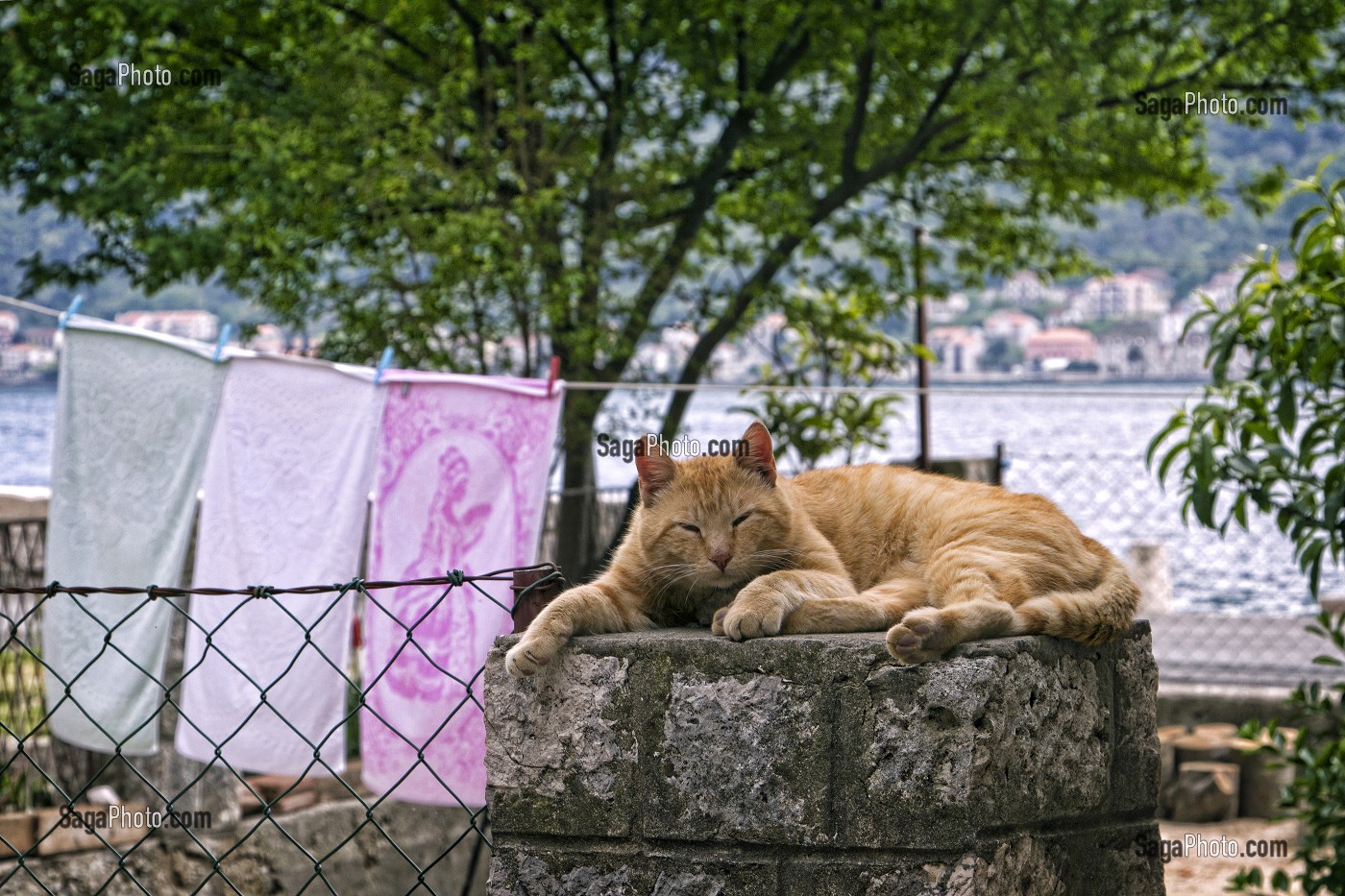 MONTENEGRO, VOYAGE TEMPOREL AU COEUR DES BALKANS 