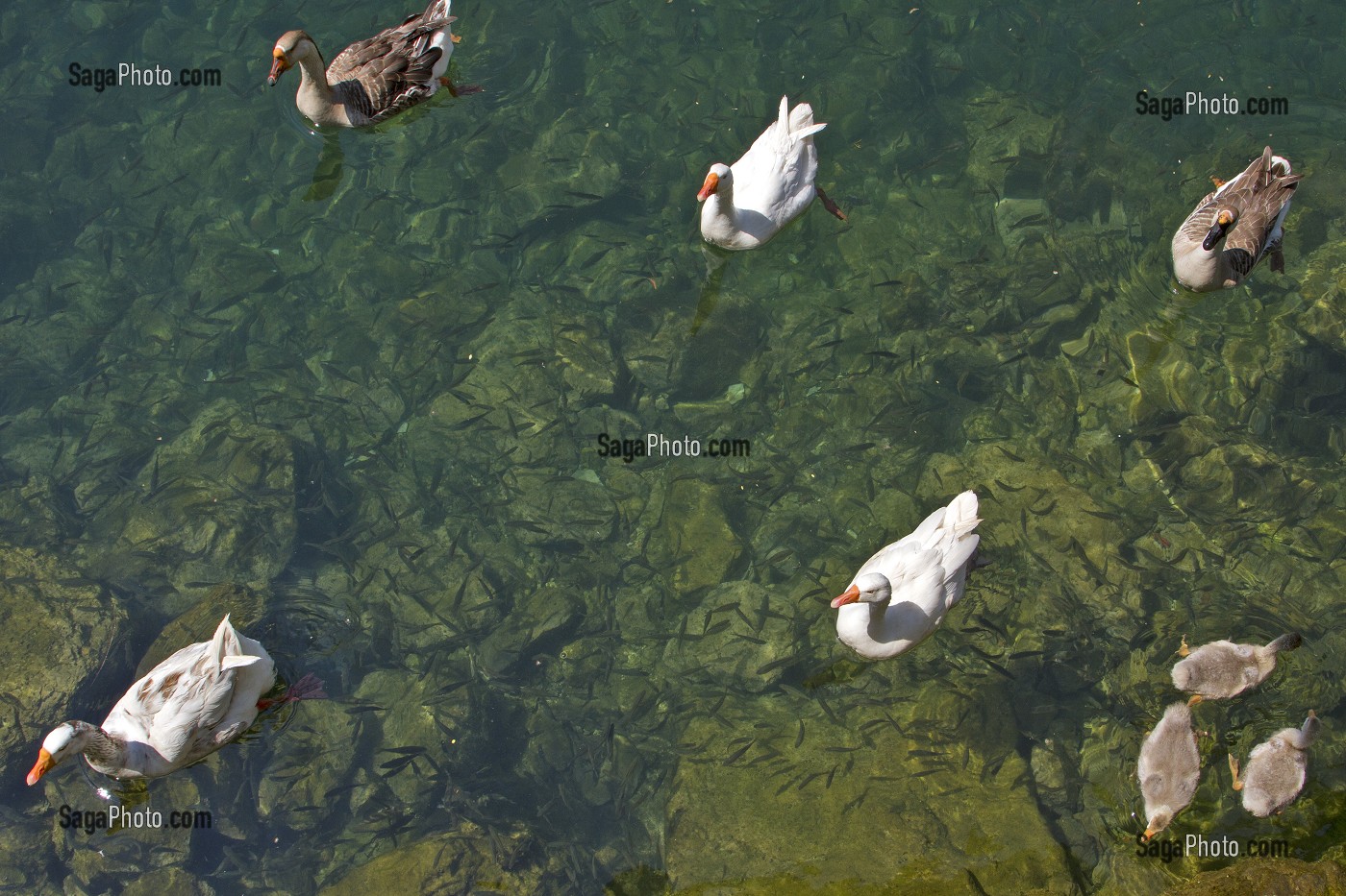 DECOUVERTE DU MONTENEGRO 