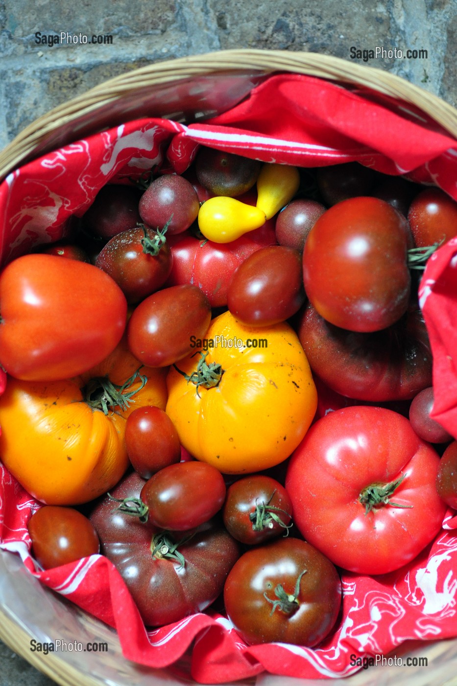 LA TOMATE, LEGUME FRUIT D'ETE 