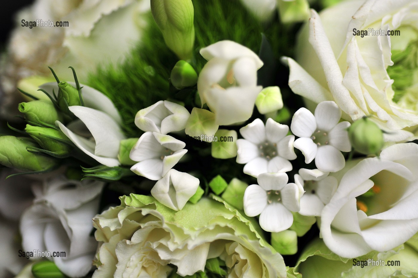 MARIAGE TRADITIONNEL EN FRANCE 
