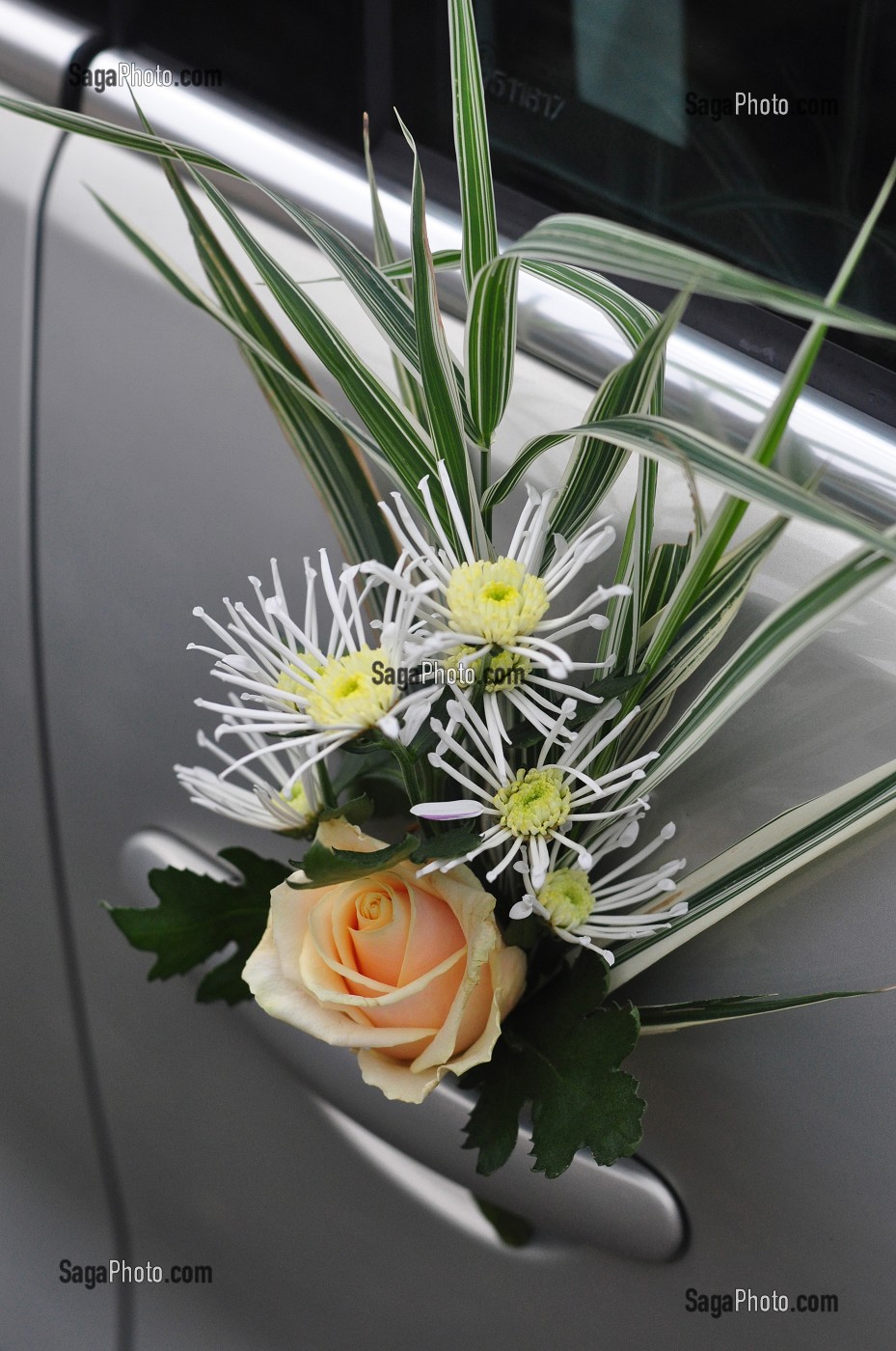 MARIAGE TRADITIONNEL, FRANCE 