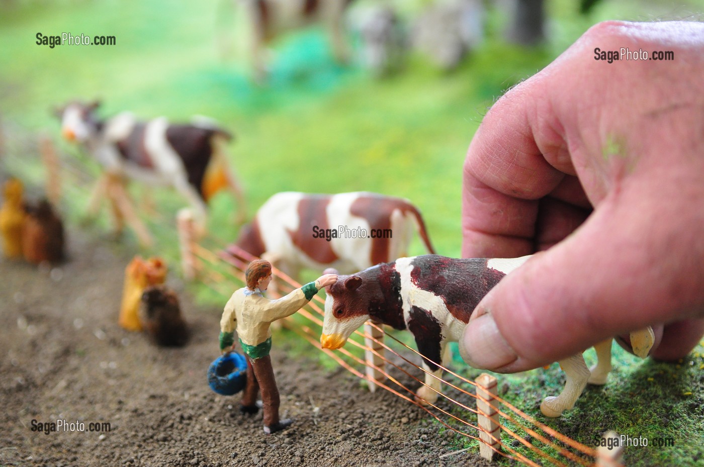 AGRICULTURE, BAIE DE SOMME, FRANCE 