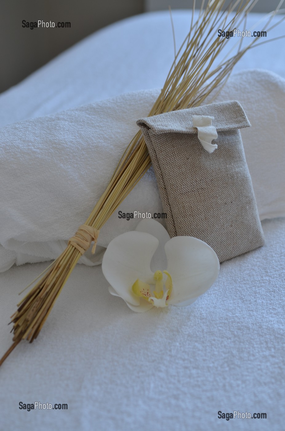 SPA ET SAUNA, SOMME, FRANCE 