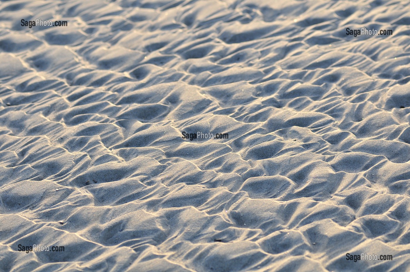LITTORAL DE LA BAIE DE SOMME, FRANCE 