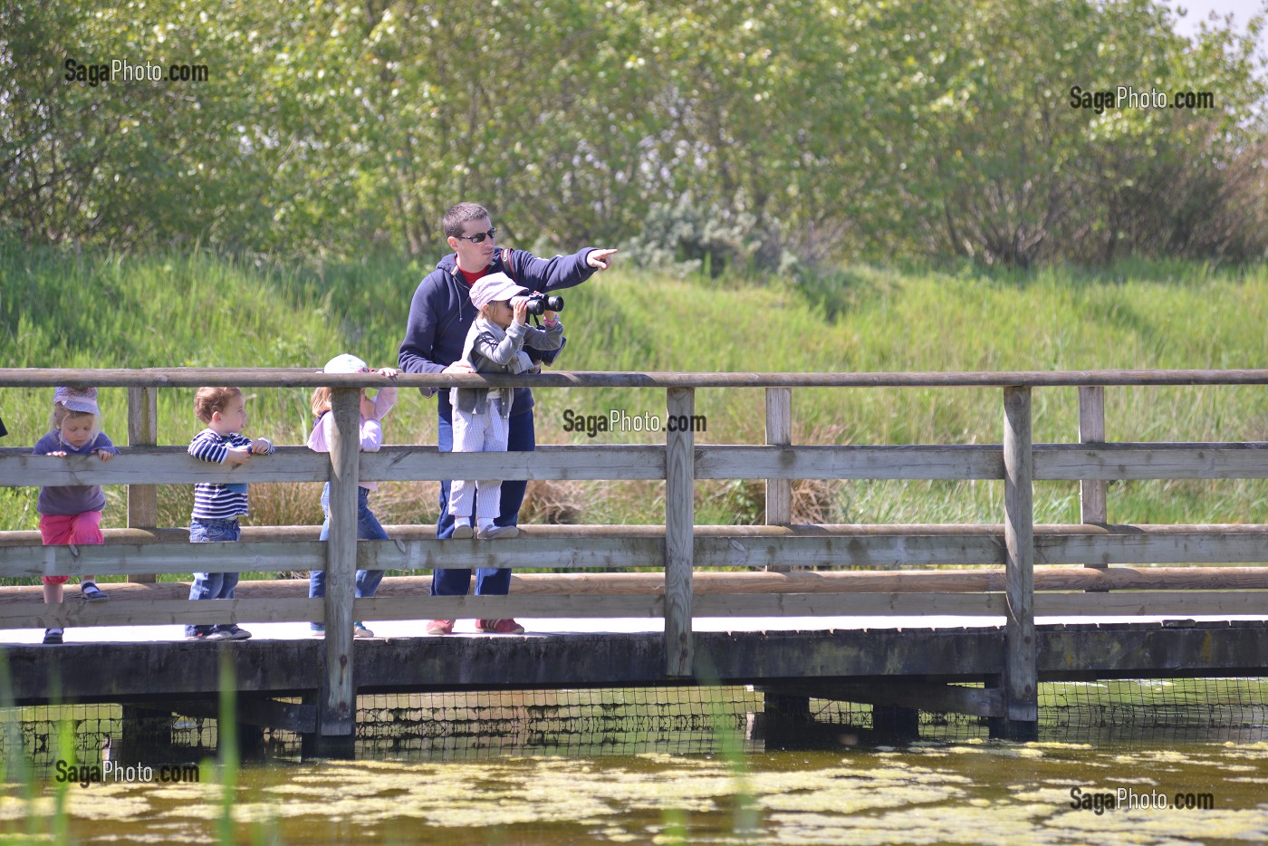 ILLUSTRATION PICARDIE, FRANCE 