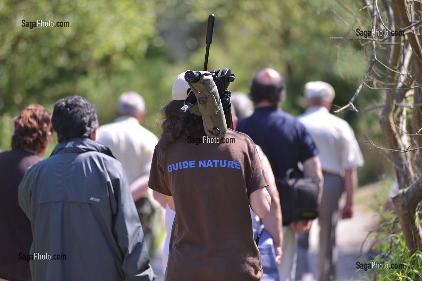 ILLUSTRATION PICARDIE, FRANCE 