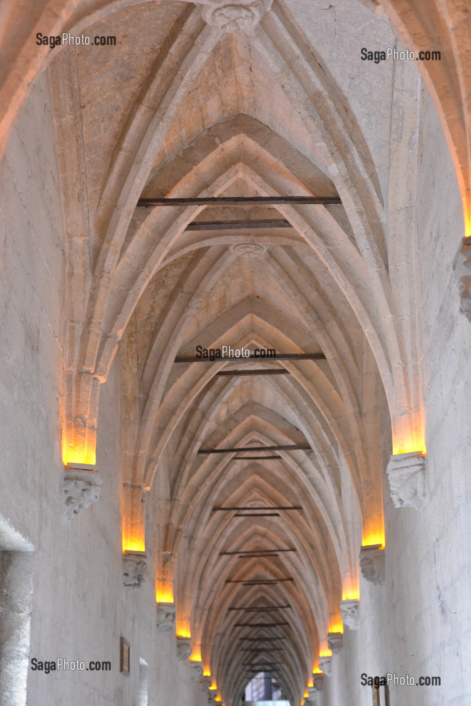 ILLUSTRATION VILLE D'AVIGNON, VAUCLUSE, FRANCE 