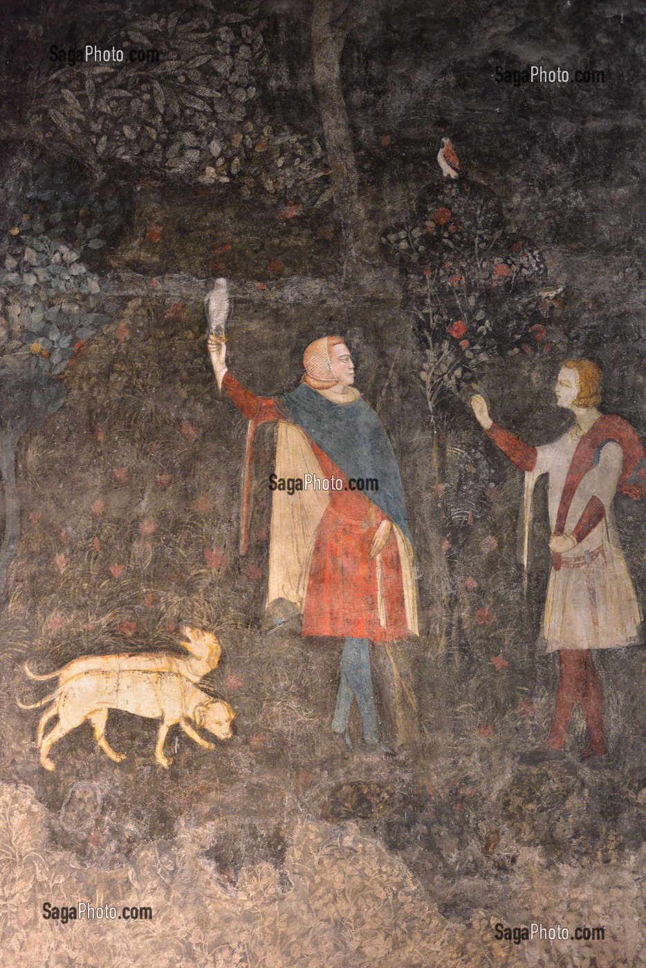 ILLUSTRATION VILLE D'AVIGNON, VAUCLUSE, FRANCE 