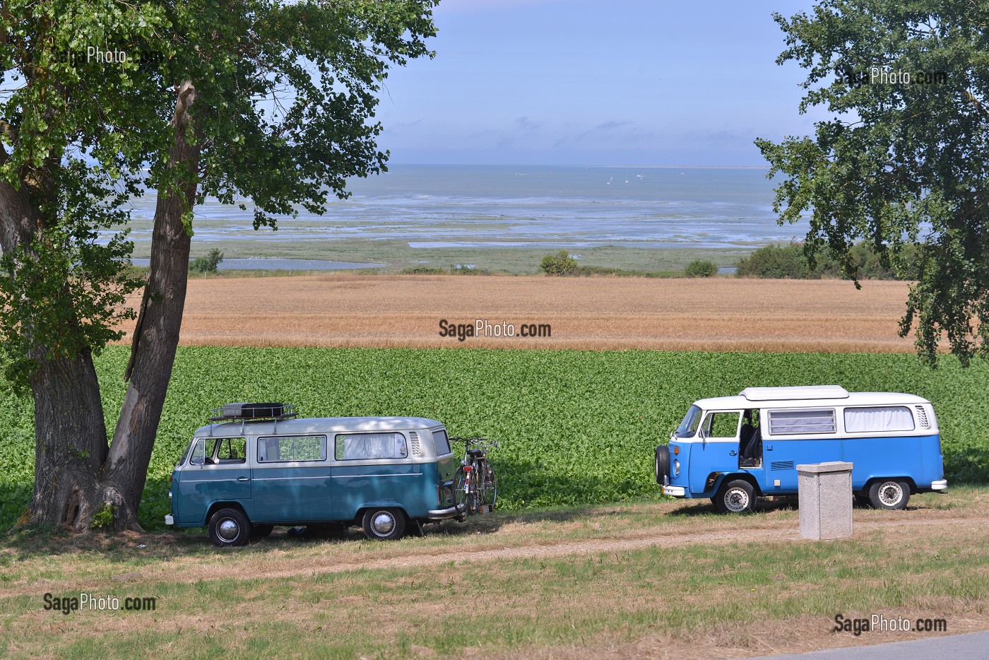 ILLUSTRATION BAIE DE SOMME, SOMME, PICARDIE, FRANCE 