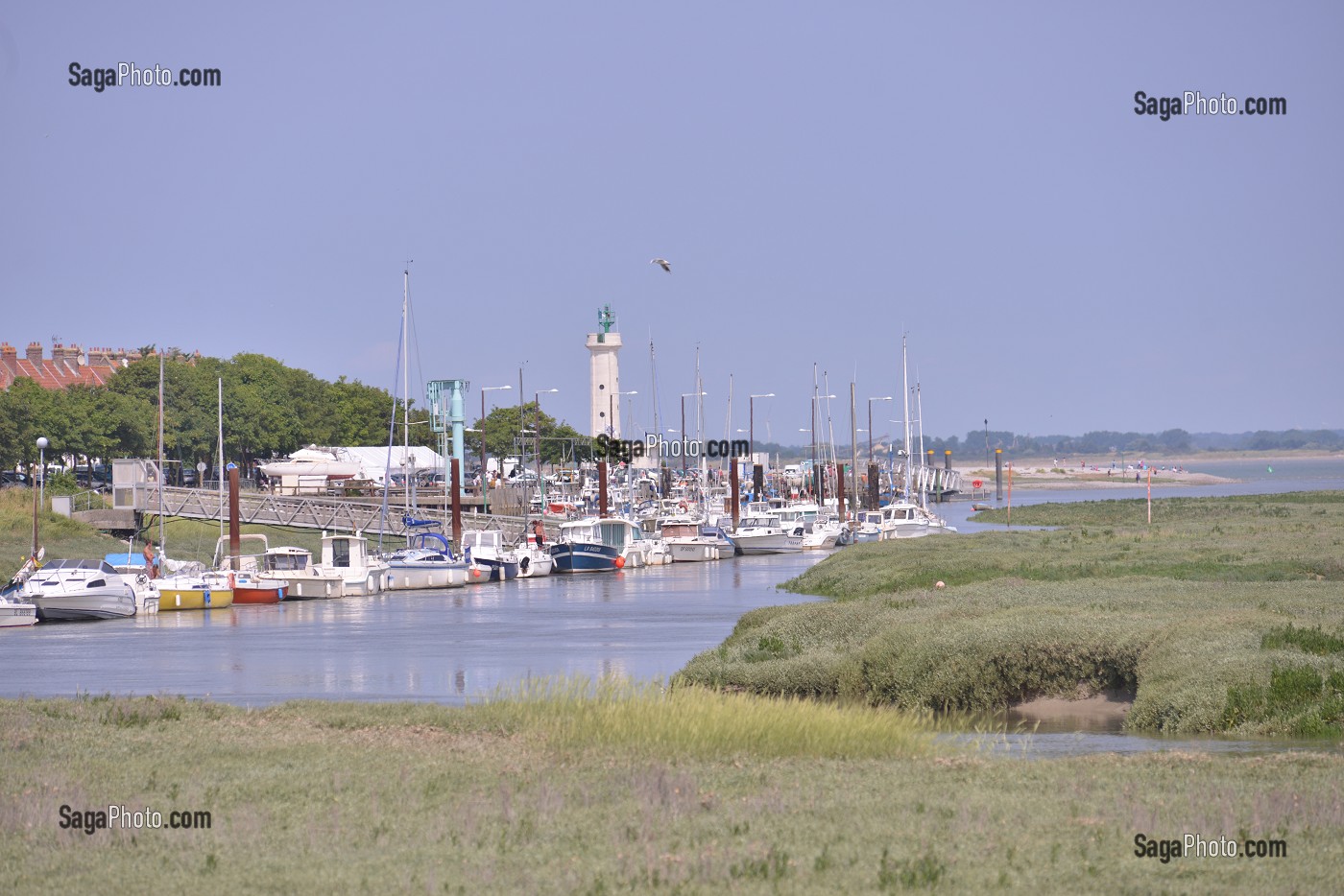 ILLUSTRATION BAIE DE SOMME, SOMME, PICARDIE, FRANCE 