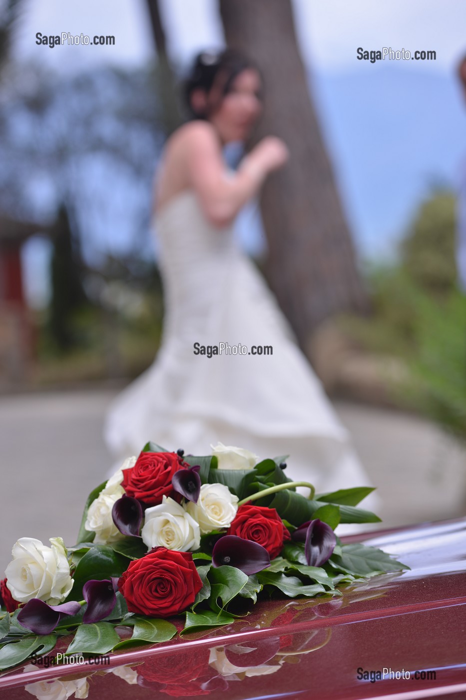 ILLUSTRATION MARIAGE 