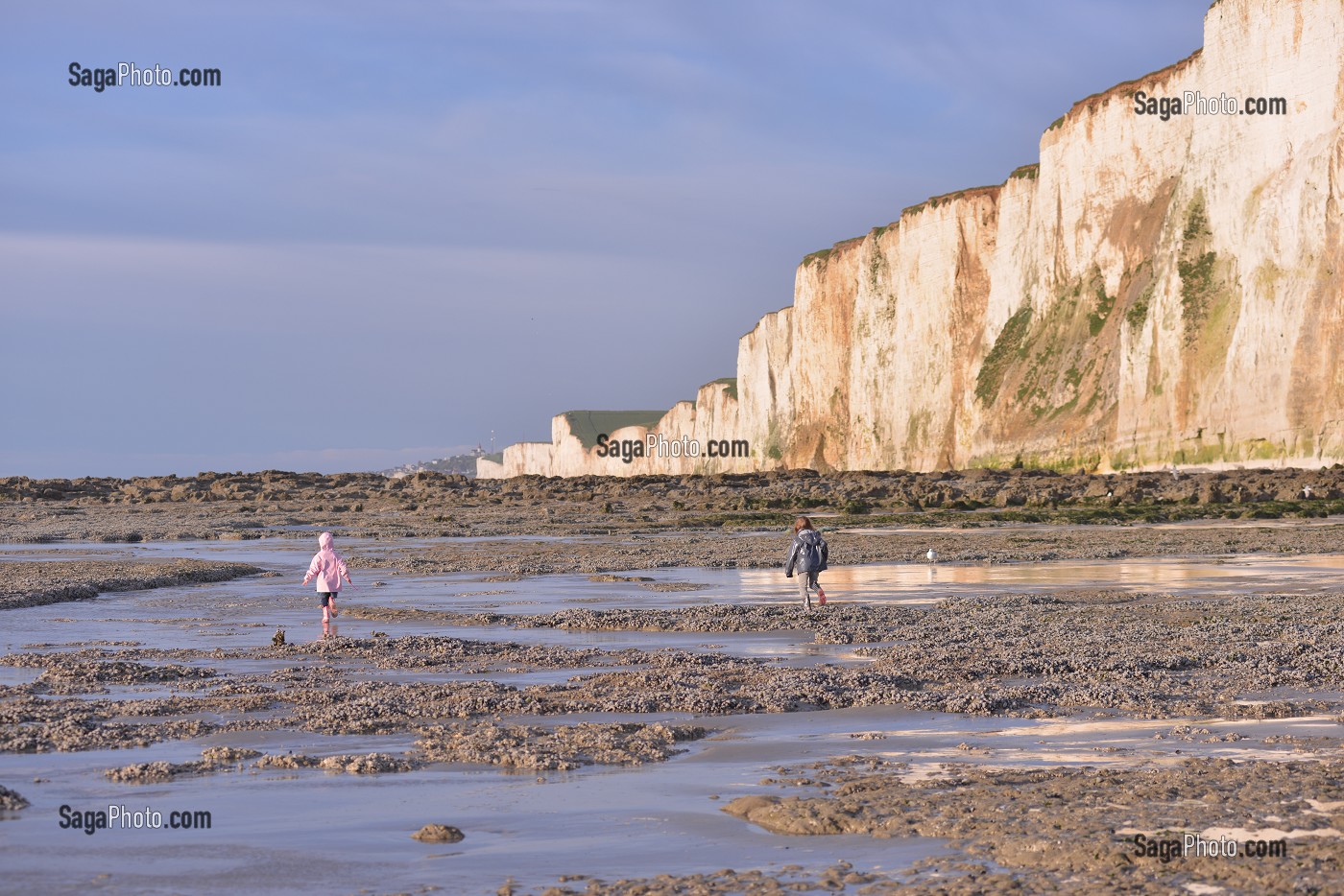 ILLUSTRATION BAIE DE SOMME, SOMME, PICARDIE, FRANCE 