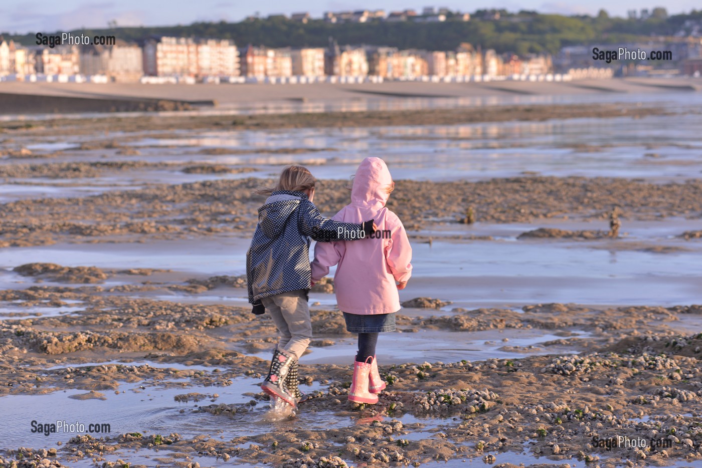 ILLUSTRATION BAIE DE SOMME, SOMME, PICARDIE, FRANCE 