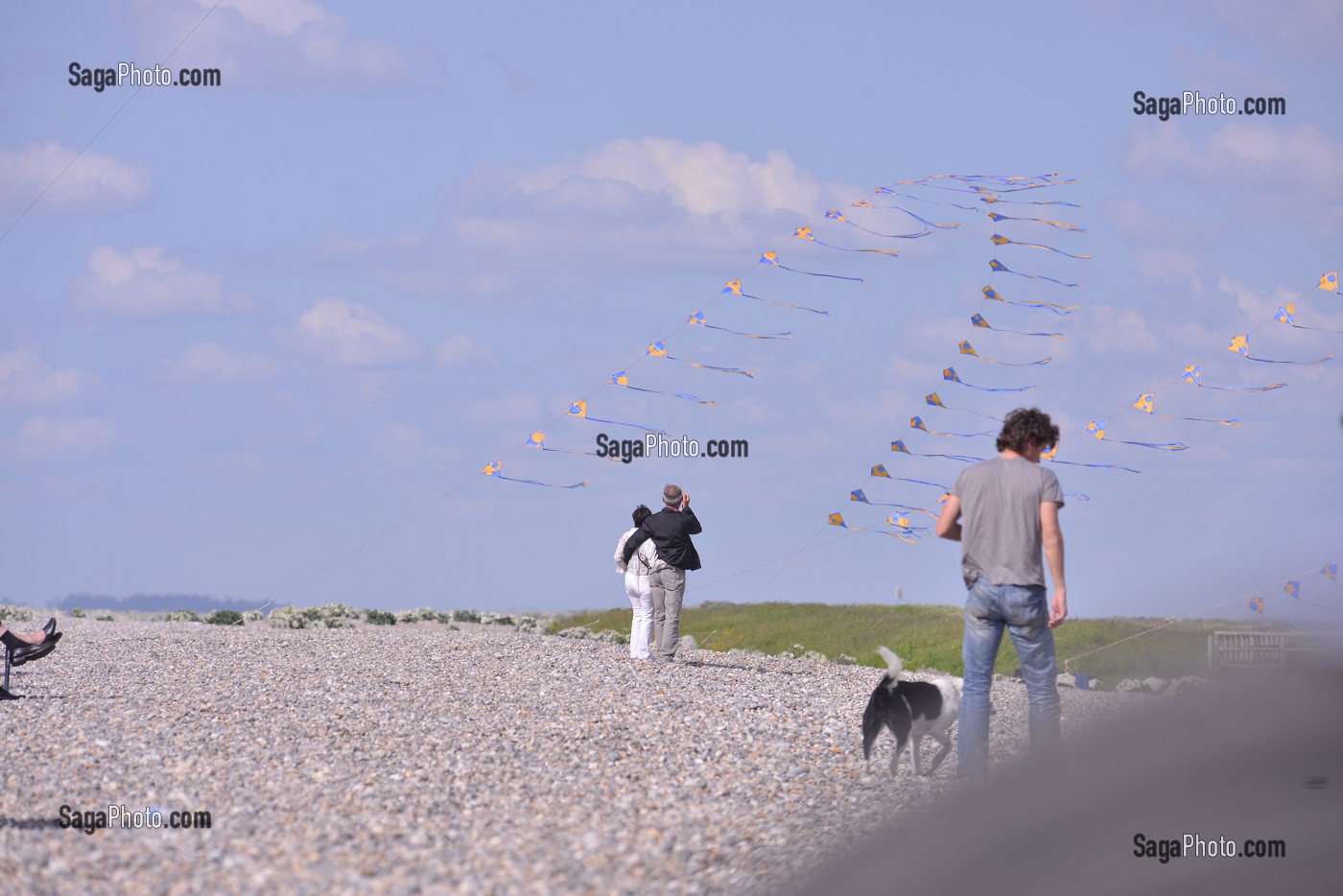 ILLUSTRATION BAIE DE SOMME, SOMME, PICARDIE, FRANCE 