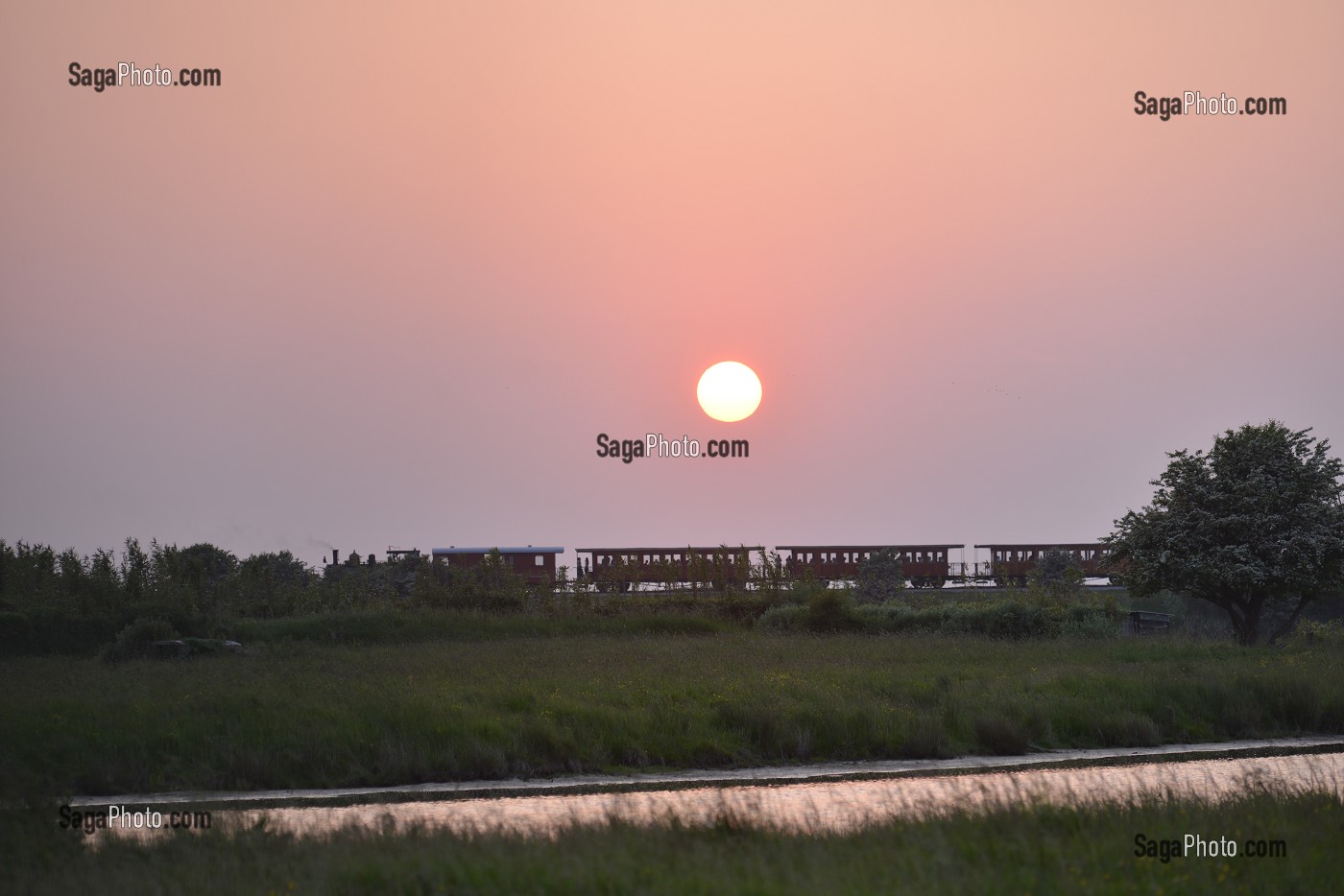 ILLUSTRATION BAIE DE SOMME, SOMME, PICARDIE, FRANCE 