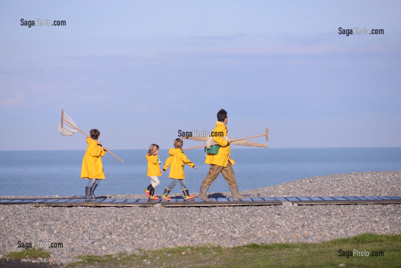 ILLUSTRATION BAIE DE SOMME, SOMME, PICARDIE, FRANCE 