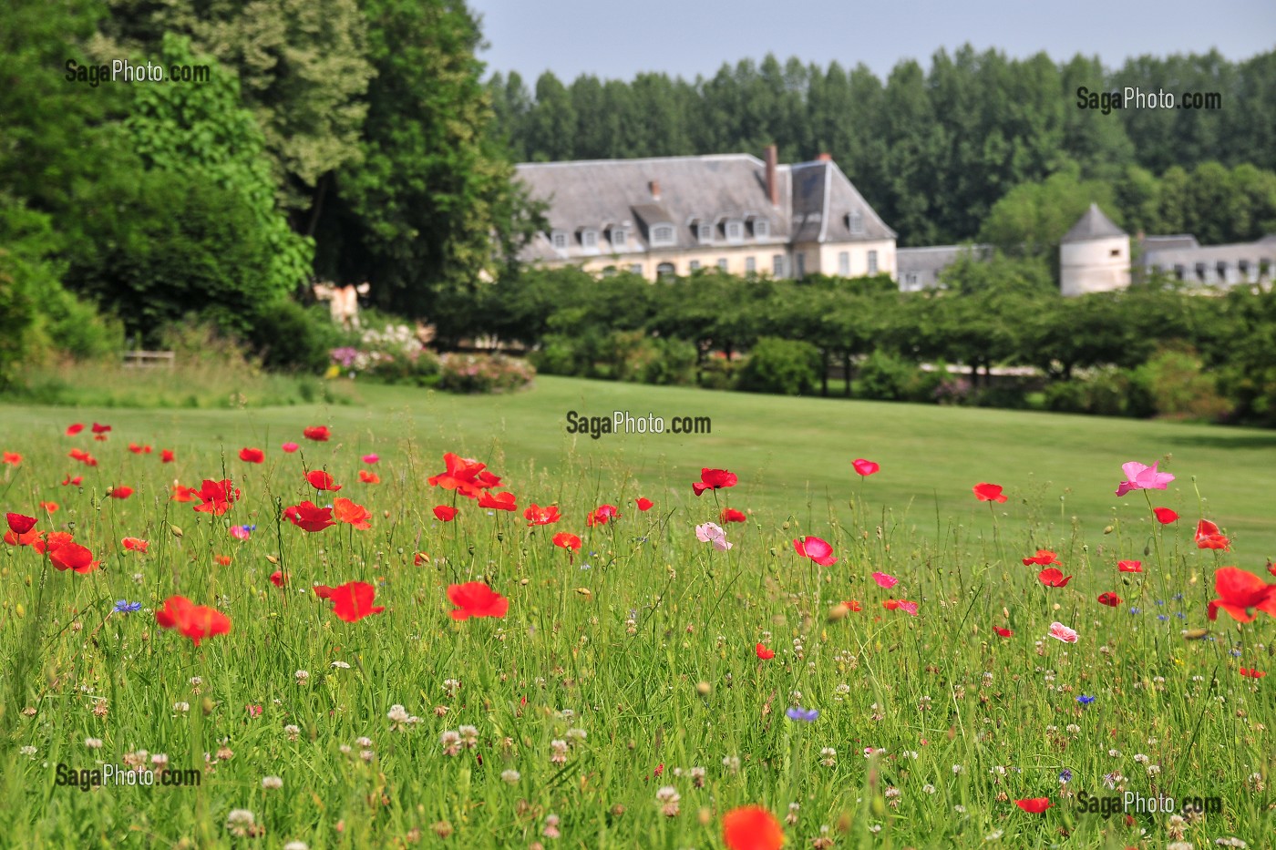 BAIE DE SOMME, FRANCE 