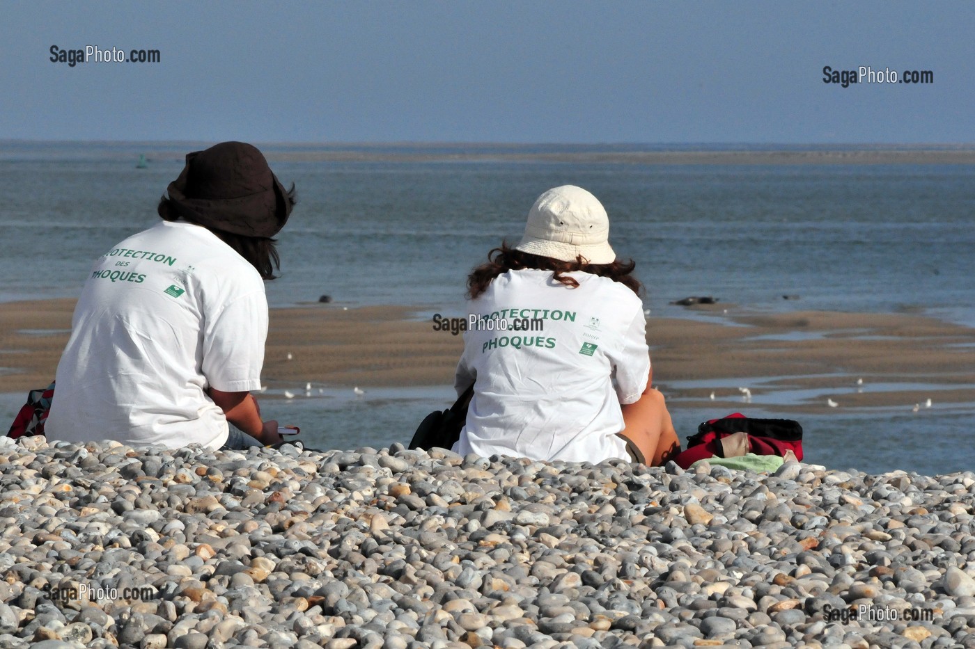 BAIE DE SOMME, FRANCE 