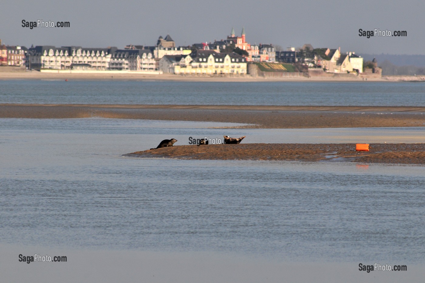 BAIE DE SOMME ET BAIN DE LUMIERE, FRANCE 