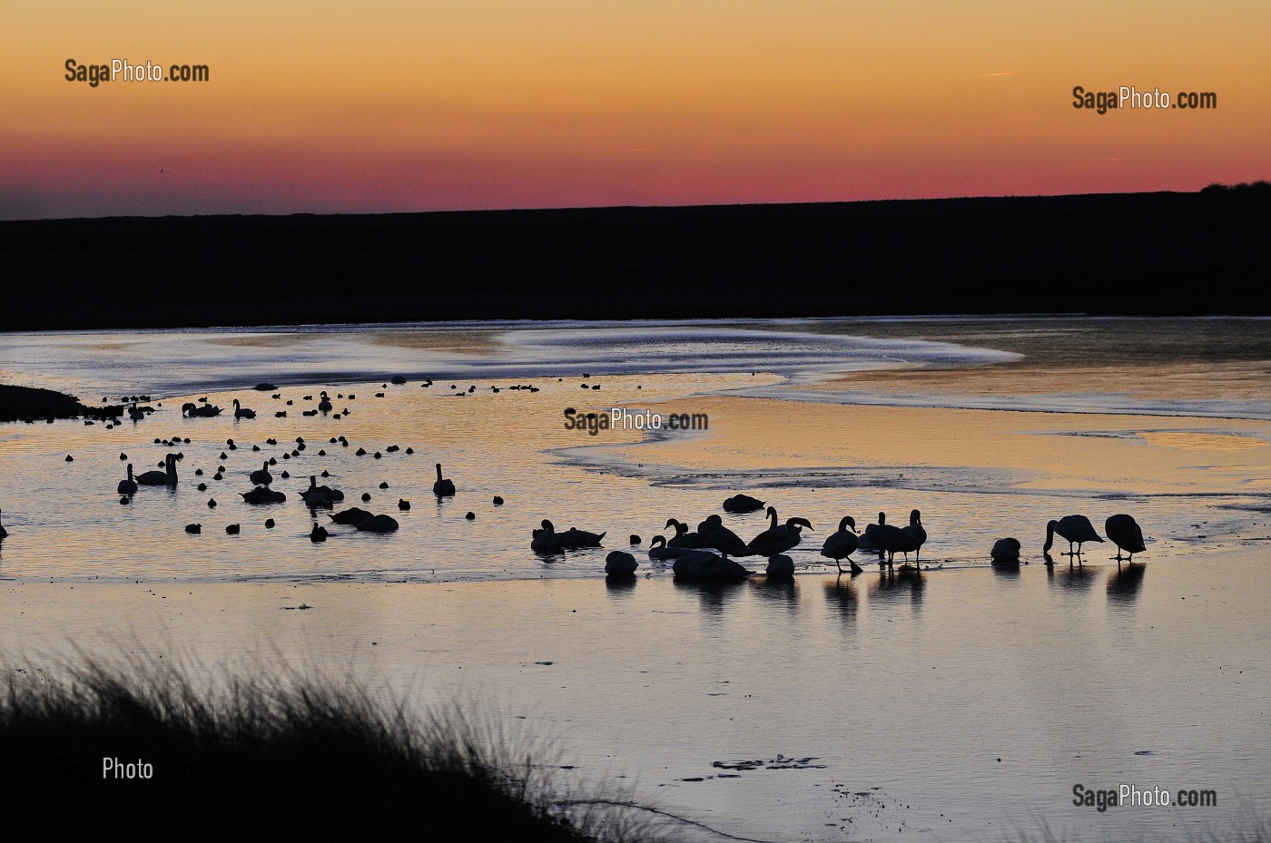 BAIE DE SOMME, FRANCE 