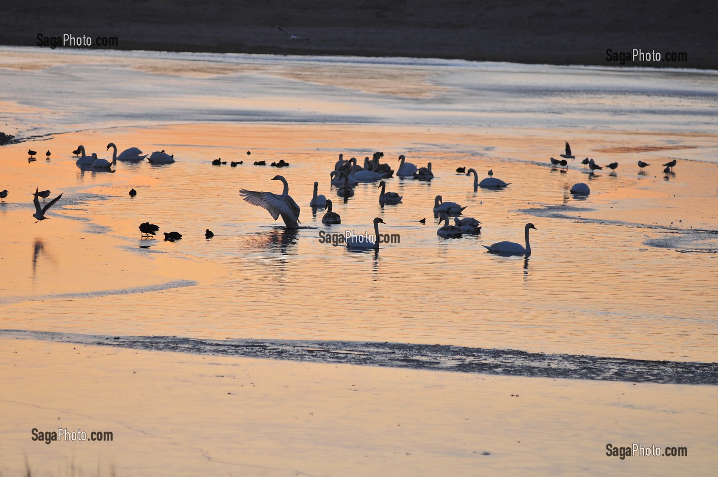 BAIE DE SOMME ET BAIN DE LUMIERE, FRANCE 